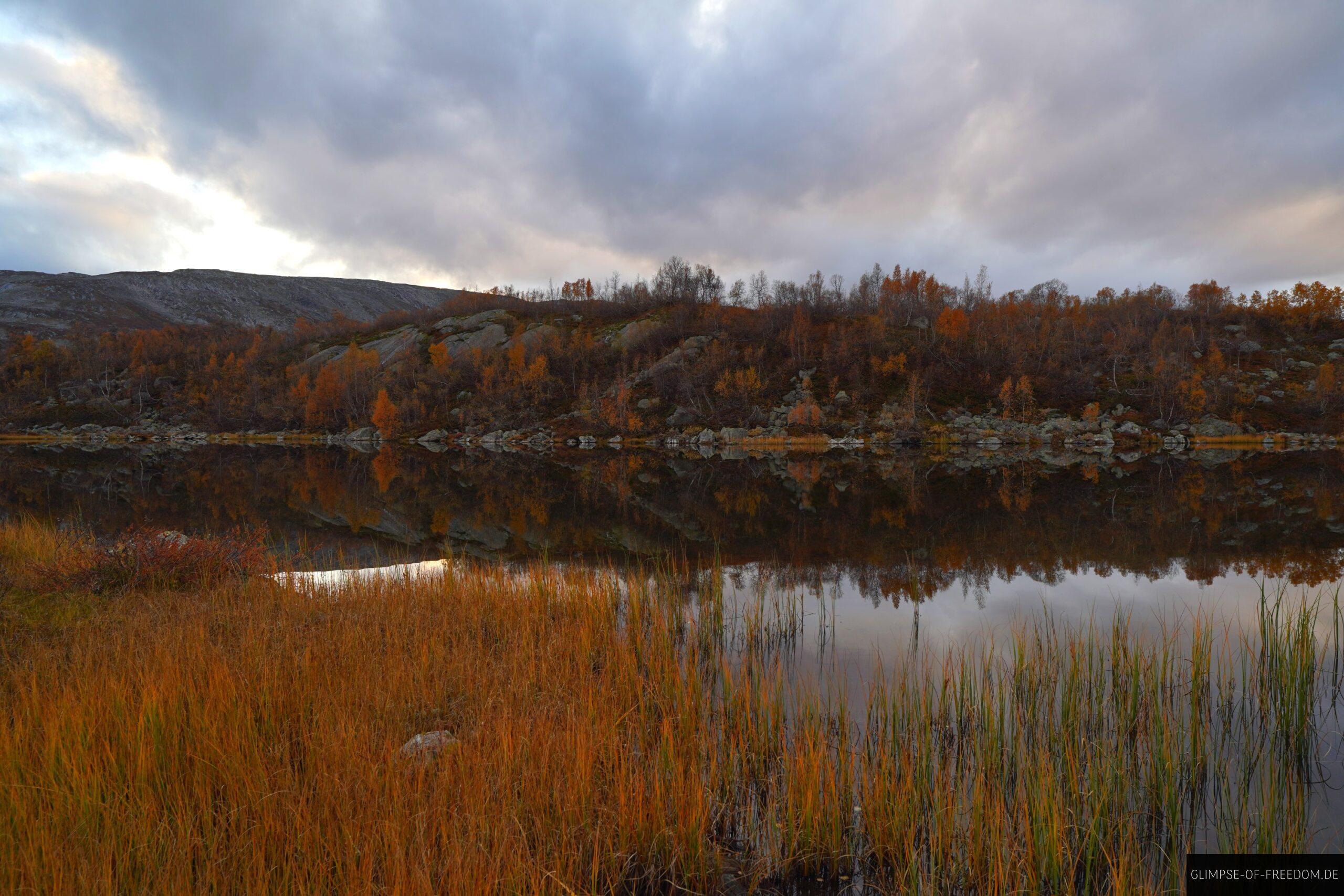 See in Grotli scaled See in Grotli