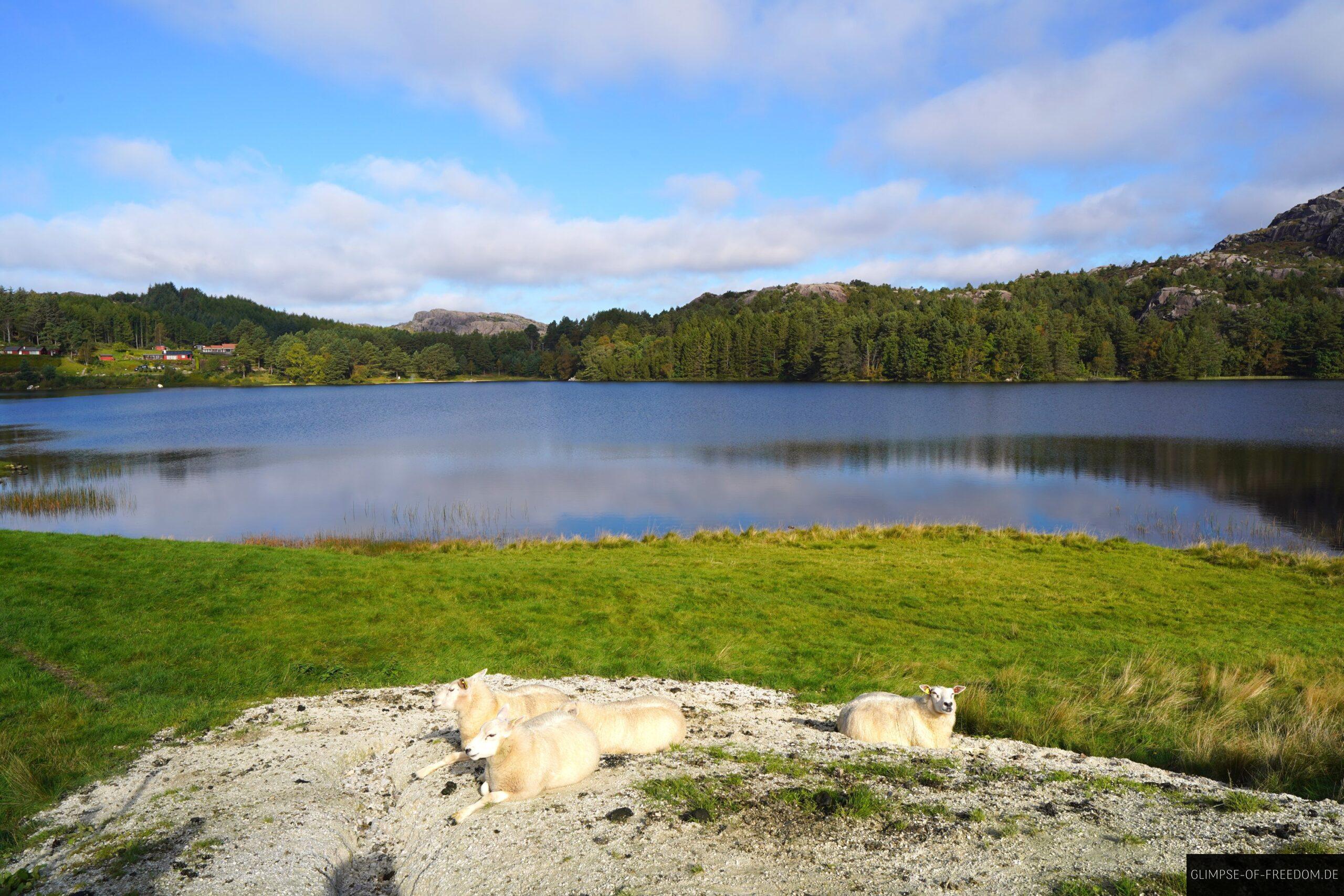 Seeblick von der Jaeren Landschaftsstrasse scaled Seeblick von der Jaeren Landschaftsstrasse
