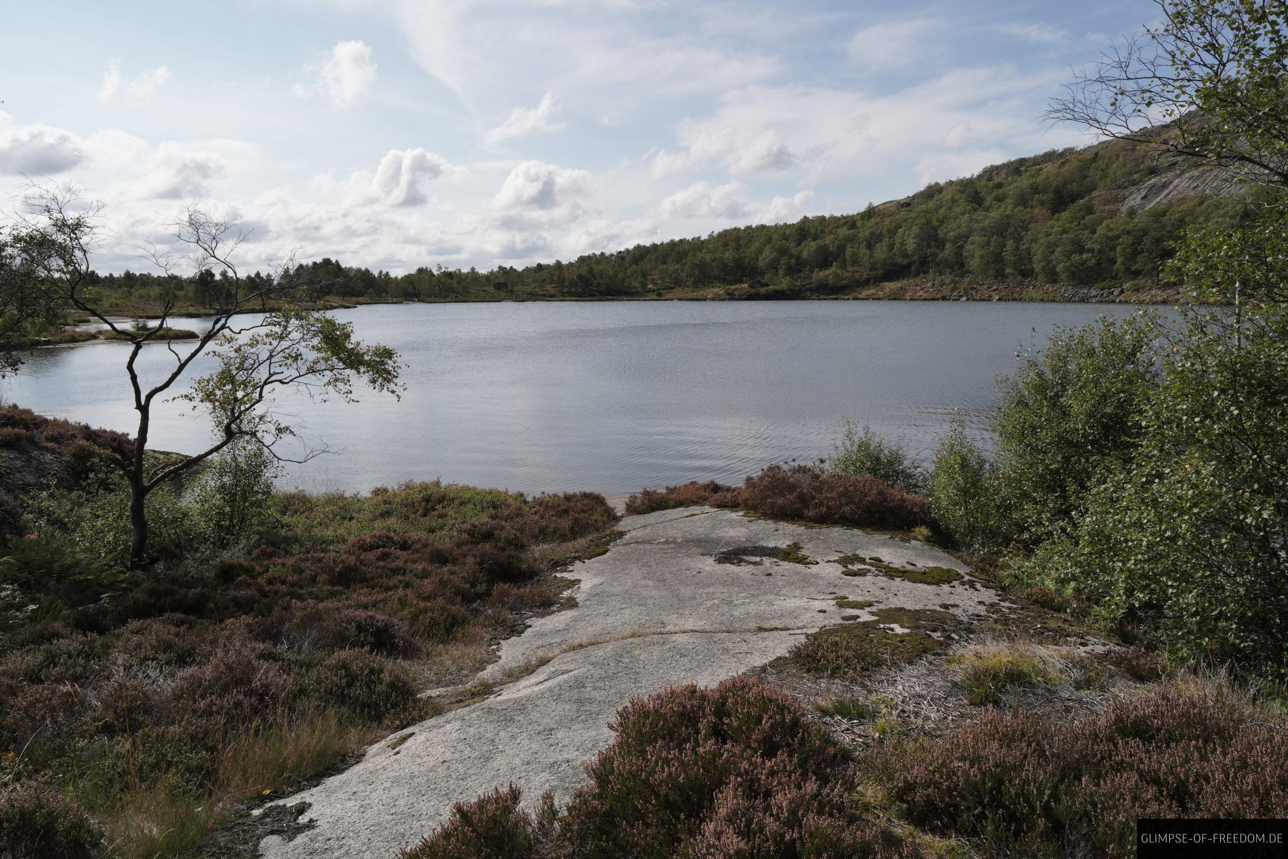 Seen Pflanzen und Felsen scaled Seen Pflanzen und Felsen