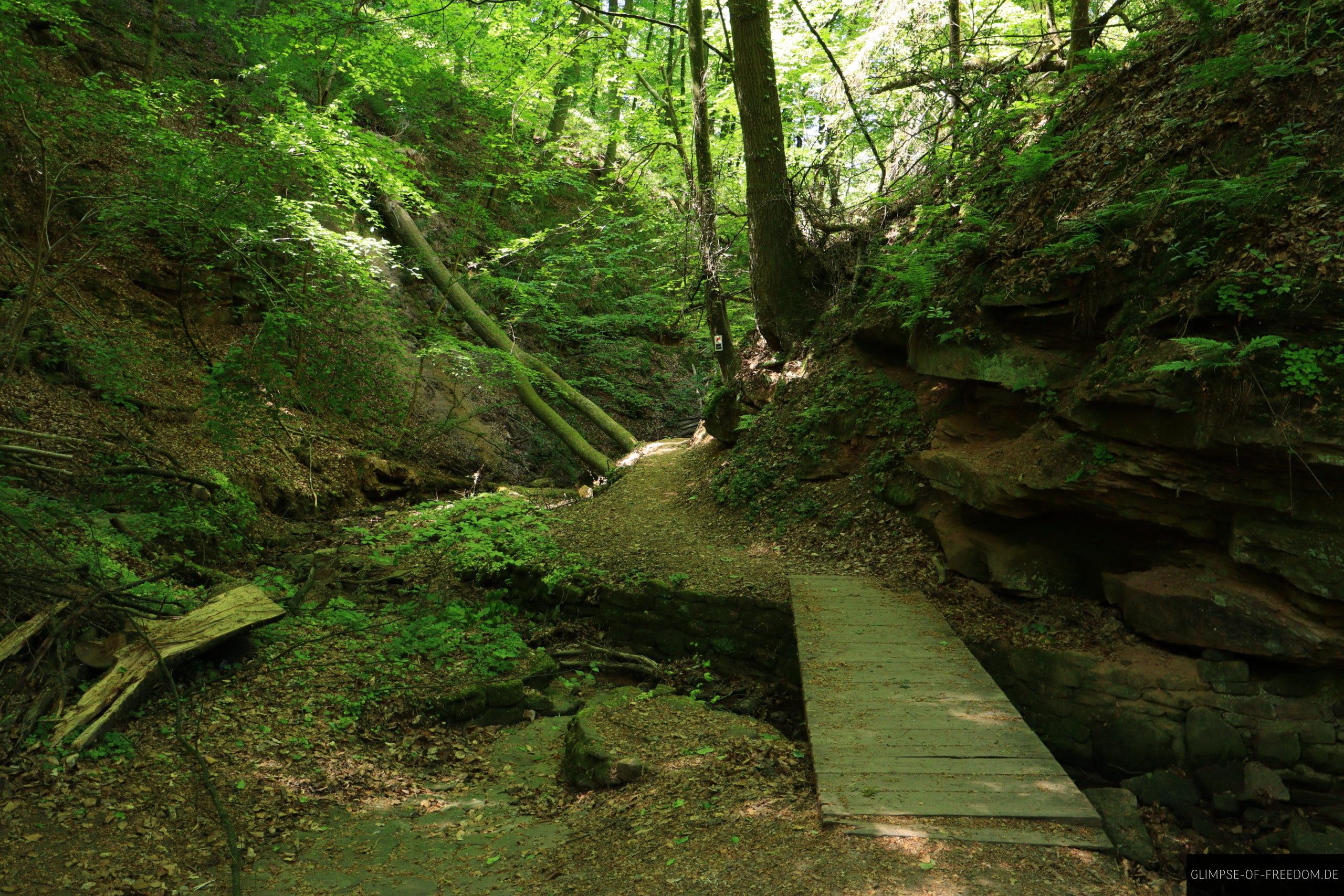 Seltenbachschlucht scaled Seltenbachschlucht