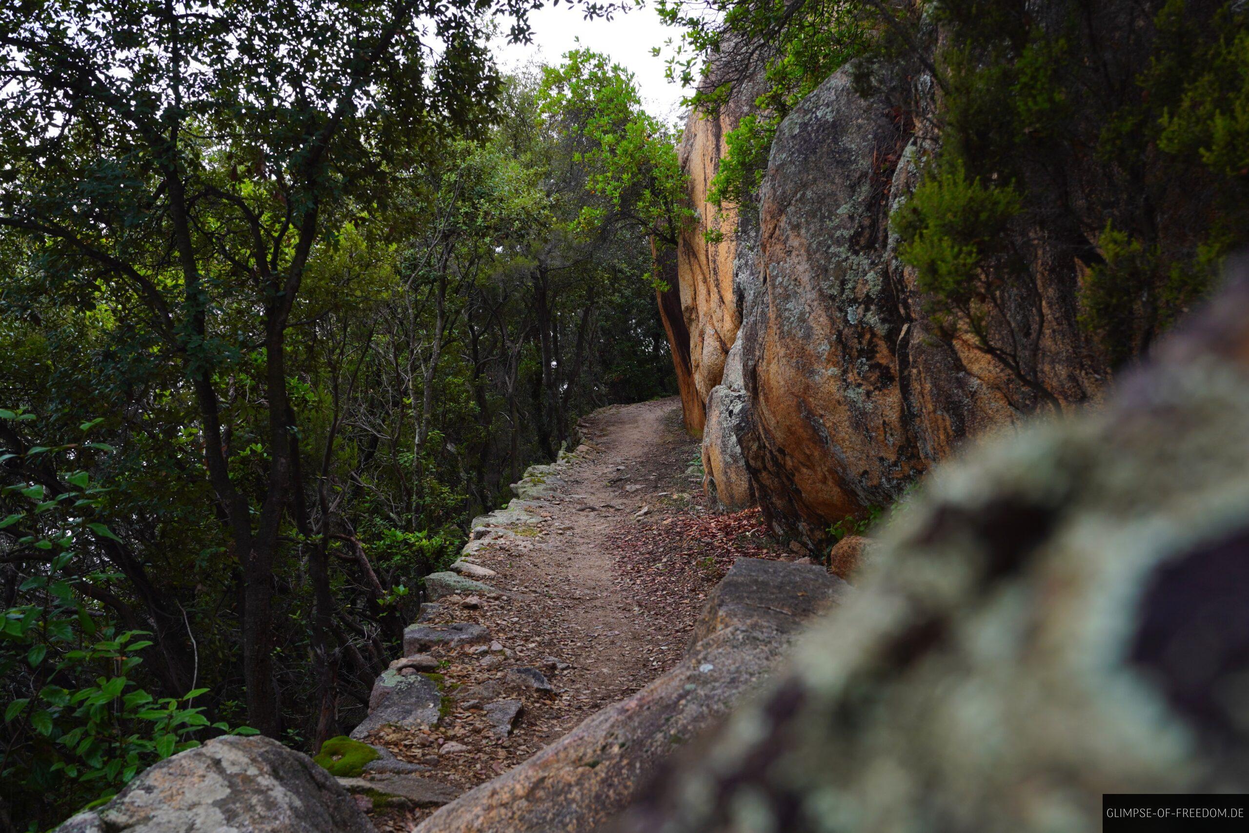 Sentir des Cretes Tour scaled Sentir des Cretes Tour