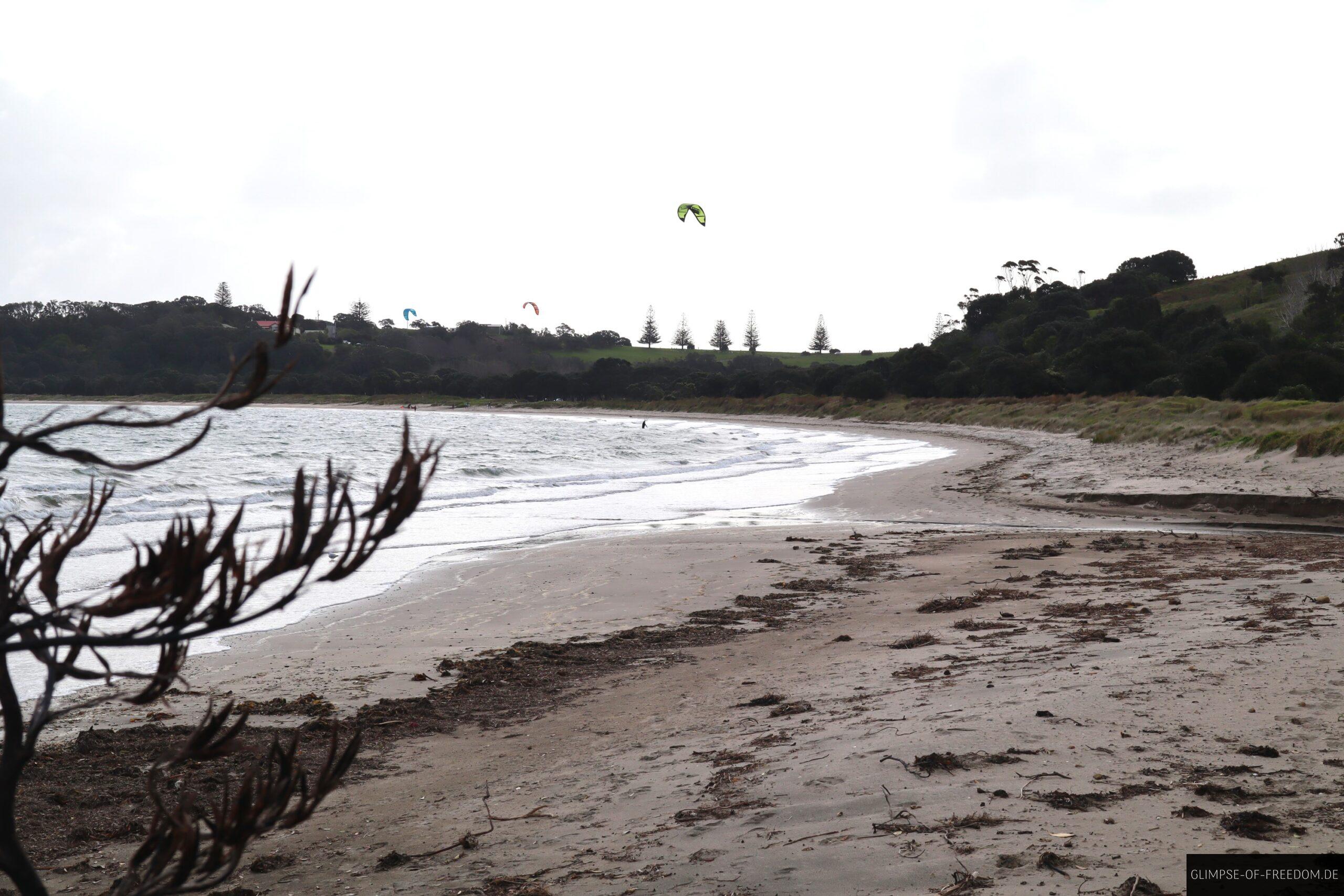 Shakespear Beach in der Te Haruhi Bay scaled Shakespear Beach in der Te Haruhi Bay