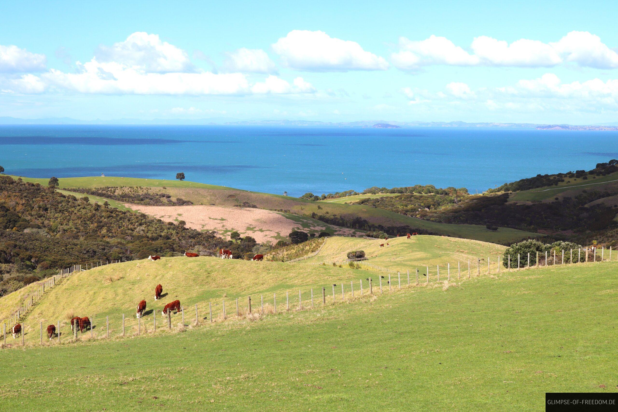 Shakespeare Regional Park Heritage Trail scaled Shakespeare Regional Park Heritage Trail