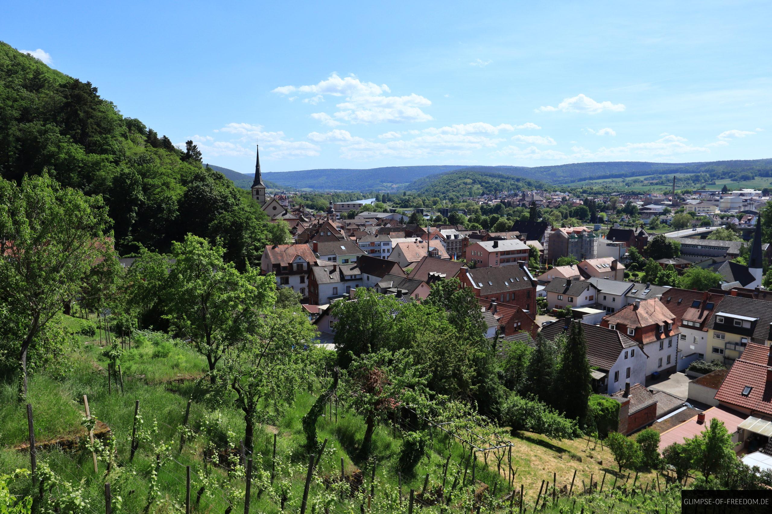 Sicht auf Klingenberg in der Natur scaled Sicht auf Klingenberg in der Natur