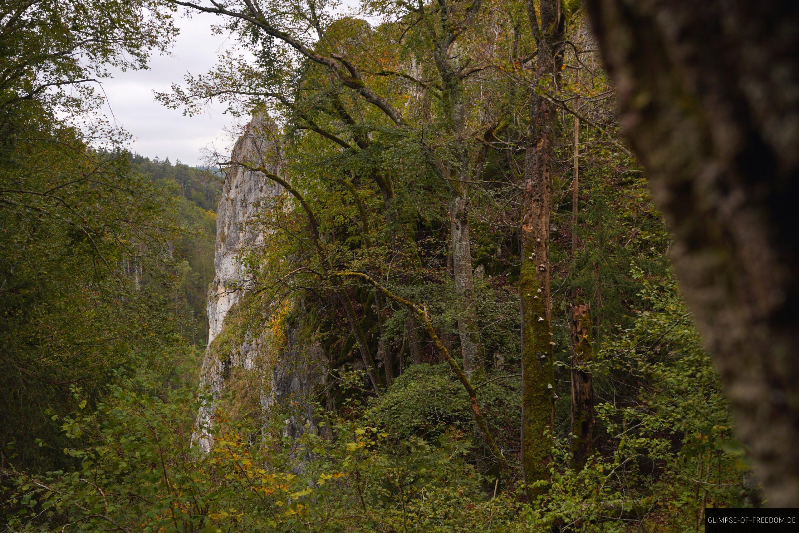 Sicht auf den Rabenfelsen durch die Baeume scaled Sicht auf den Rabenfelsen durch die Bäume