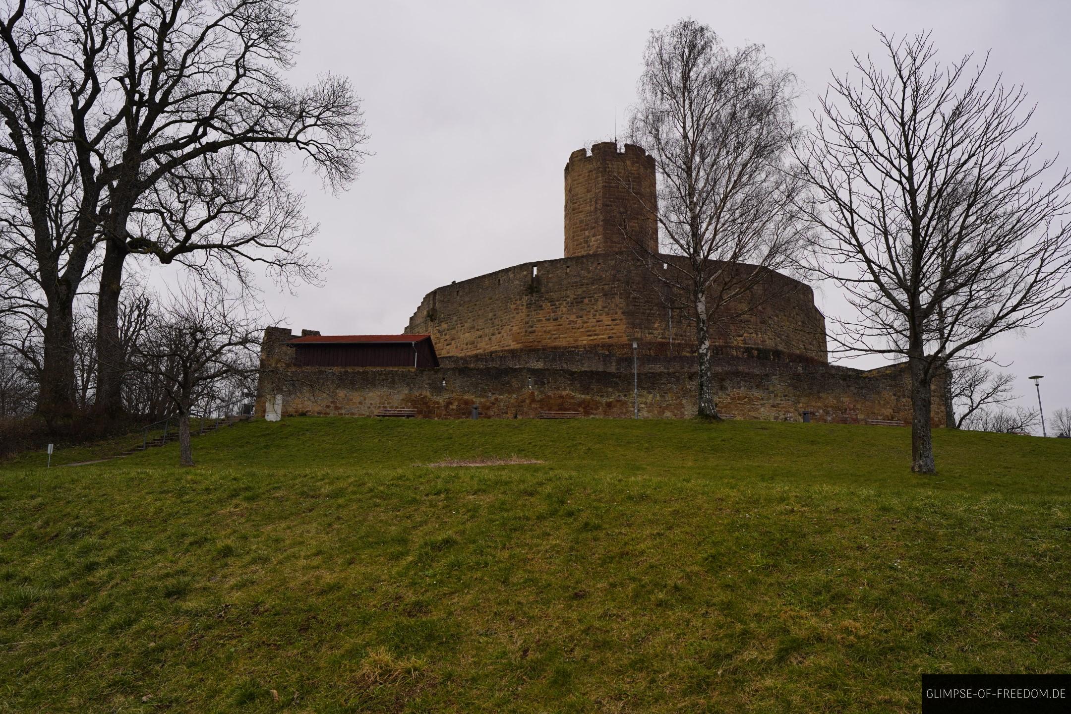 Sicht auf die Burg Steinsberg Sinsheim vom Parkplatz aus