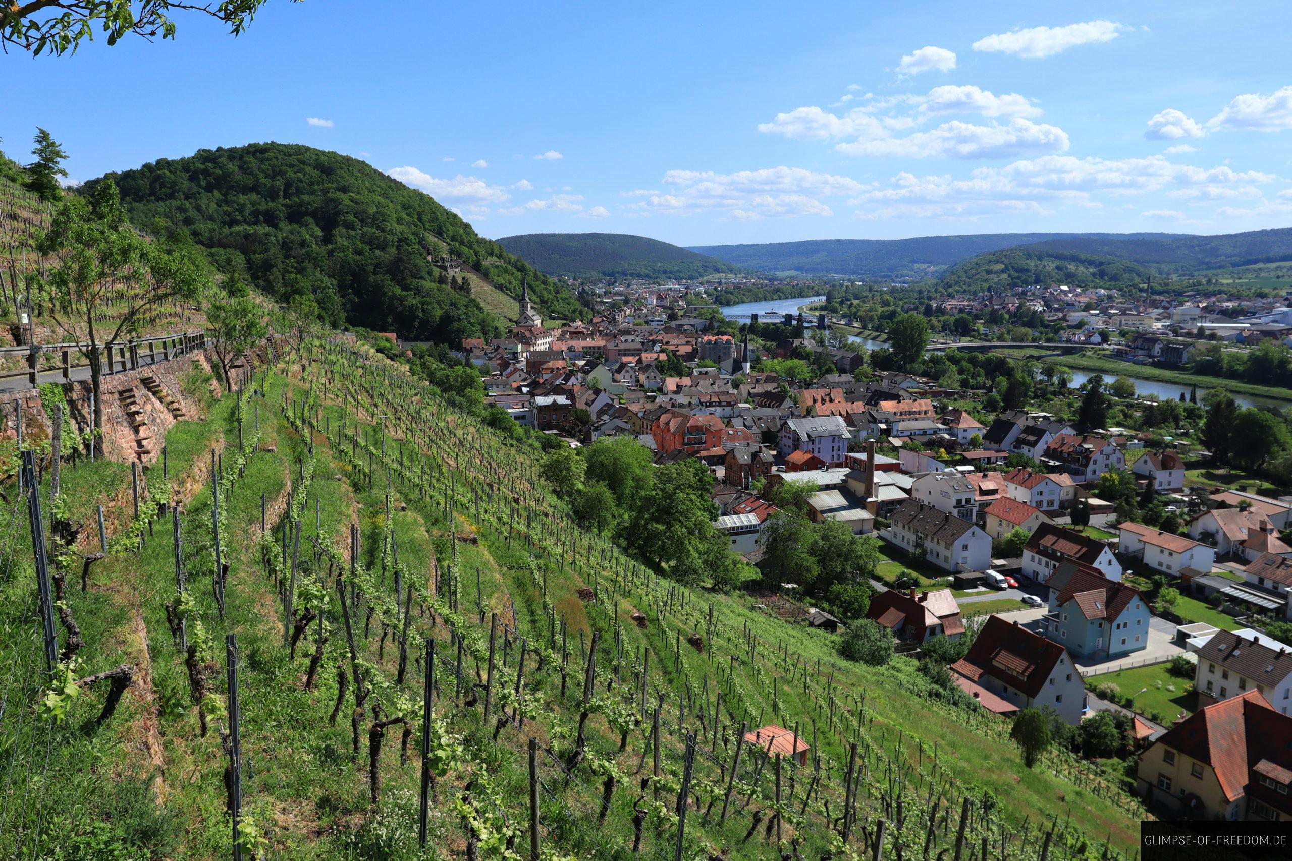 Sicht auf die Clingenburg scaled Sicht auf die Clingenburg