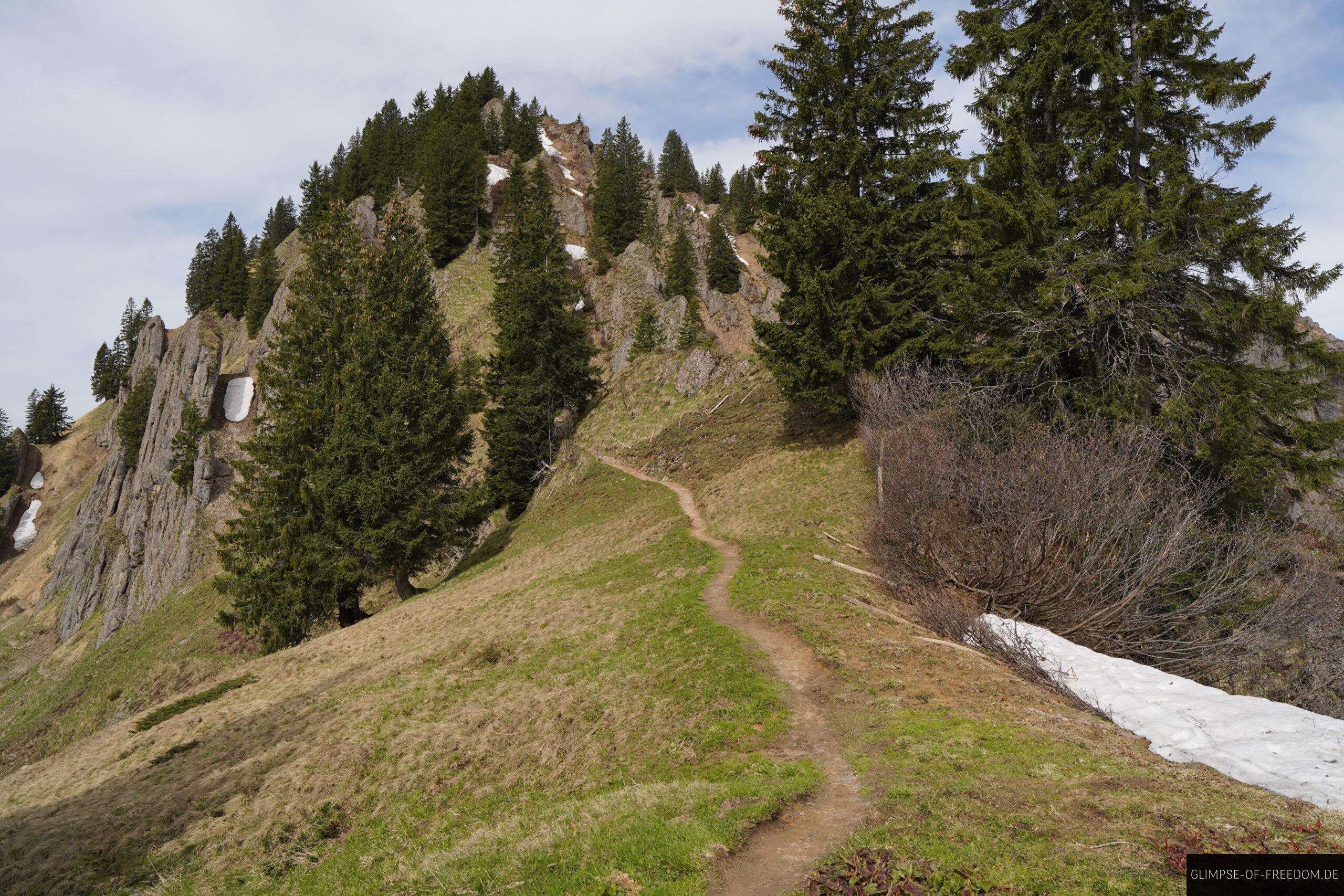Siplinger Kopf Aufstieg scaled Siplinger Kopf Aufstieg