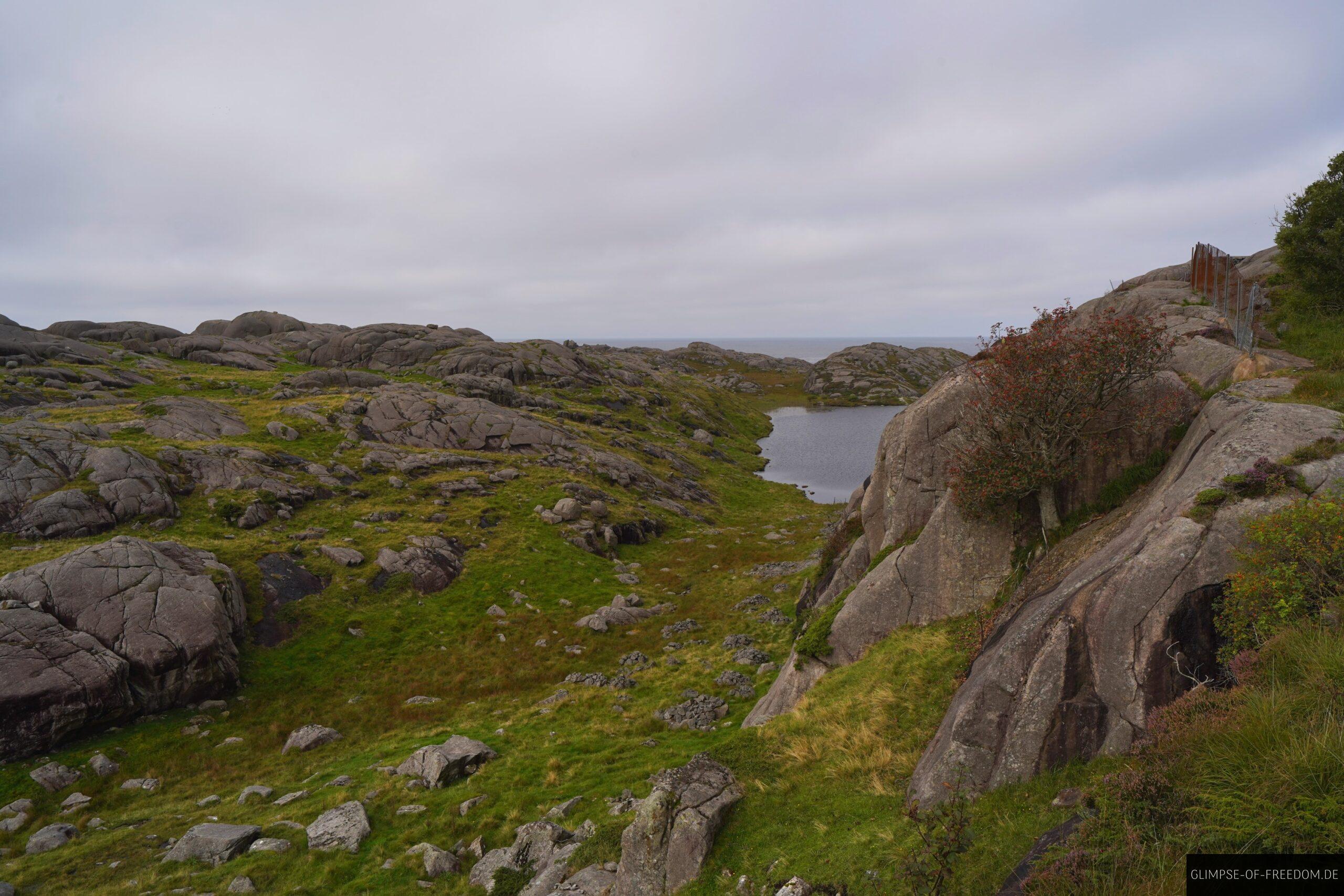 Sirevag Kuestenlandschaft scaled Sirevåg Küstenlandschaft