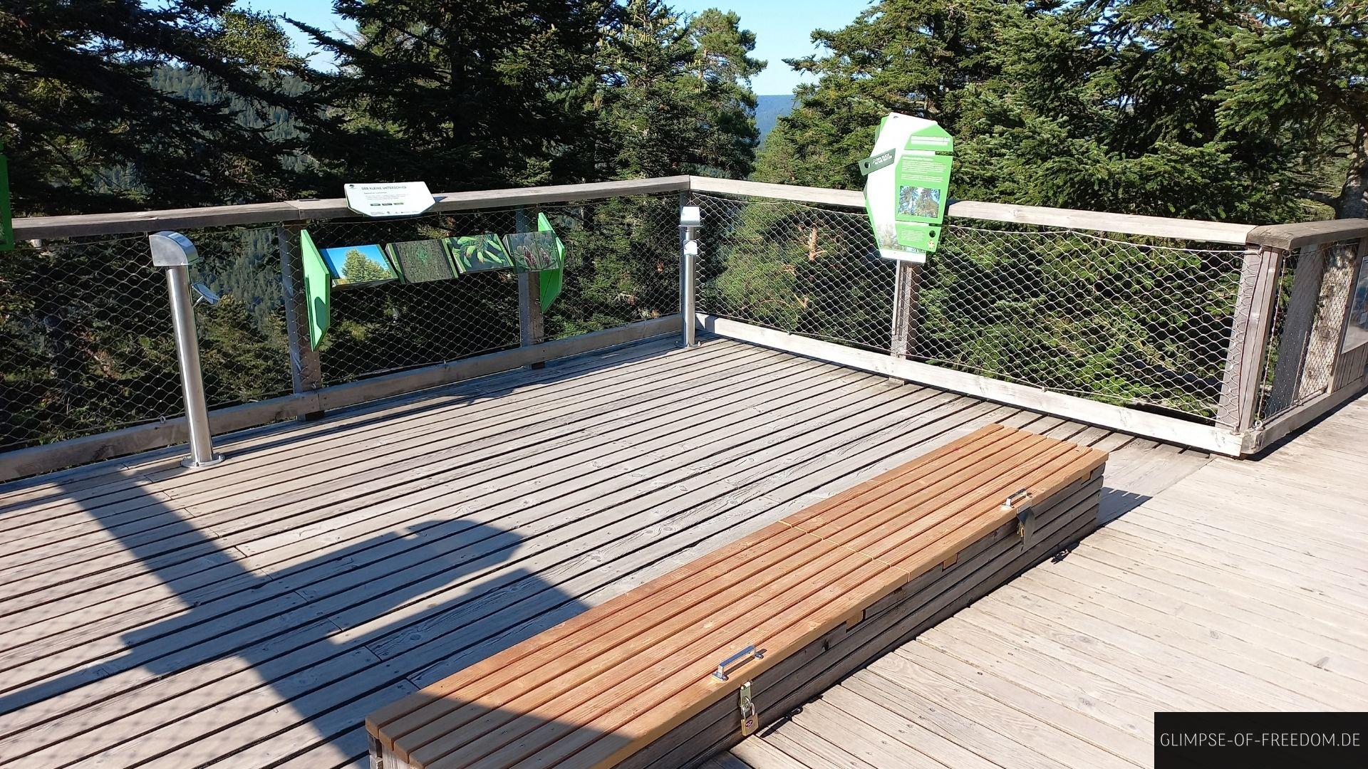 Sitzbank und Infotafeln auf dem Baumwipfelpfad Schwarzwald Sitzbank und Infotafeln auf dem Baumwipfelpfad Schwarzwald