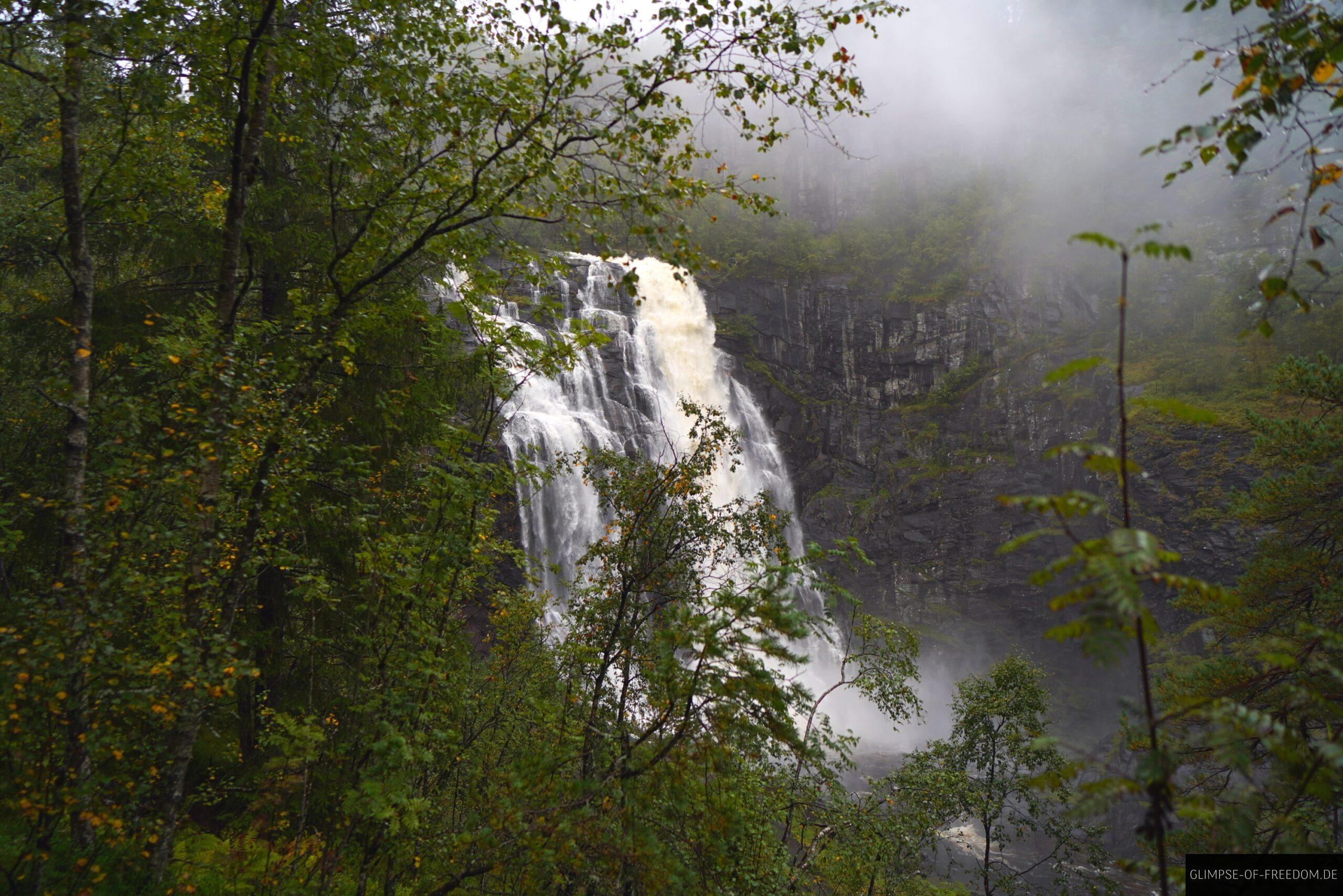 Skjervsfossen durch die Baeume scaled Skjervsfossen durch die Bäume