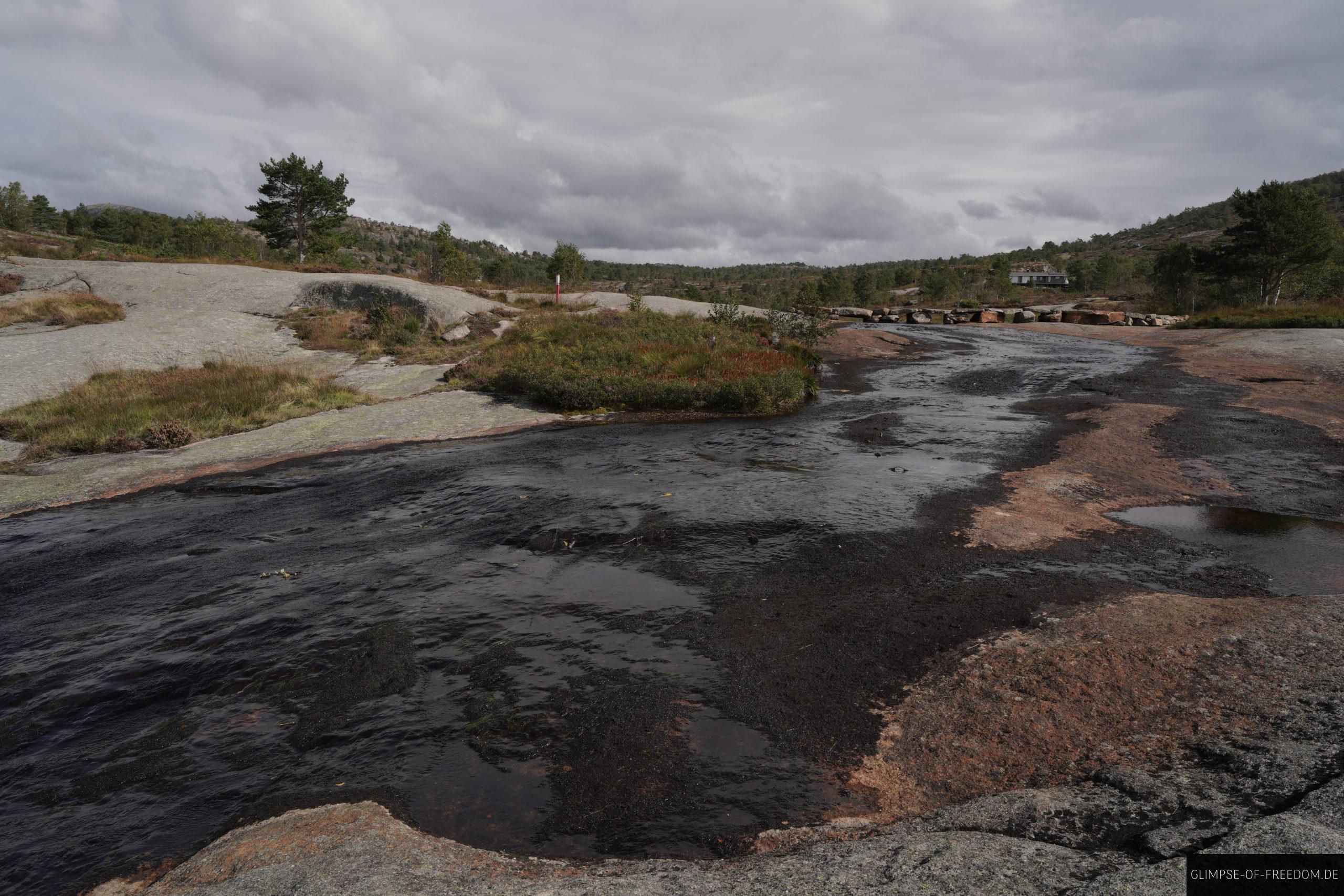Skrelia Norwegen scaled Skrelia Norwegen