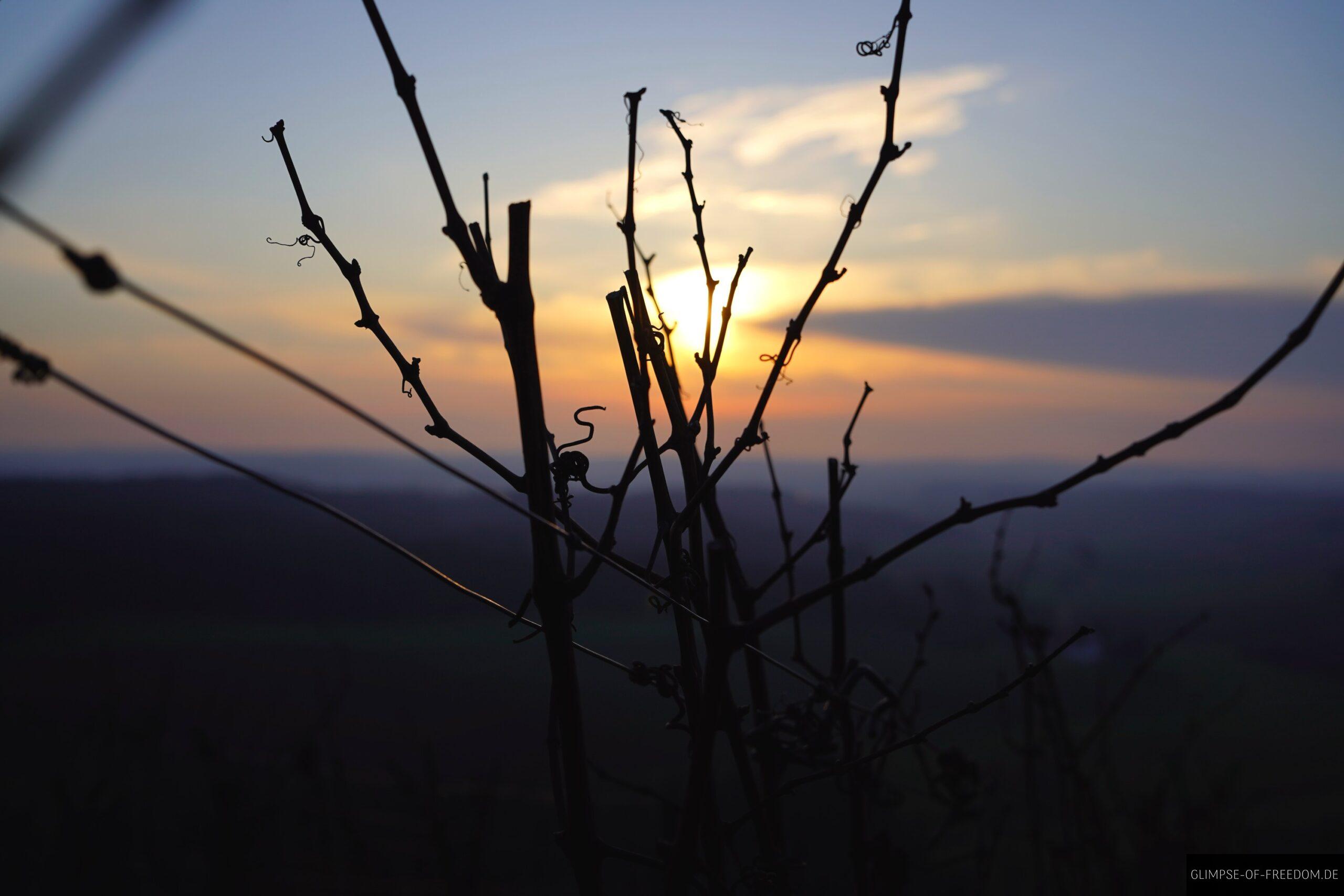 Sonnenuntergang vom Derdinger Horn Panoramaweg scaled Sonnenuntergang vom Derdinger Horn Panoramaweg