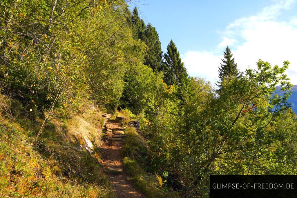 Sonniger Wanderweg am Sognefjord