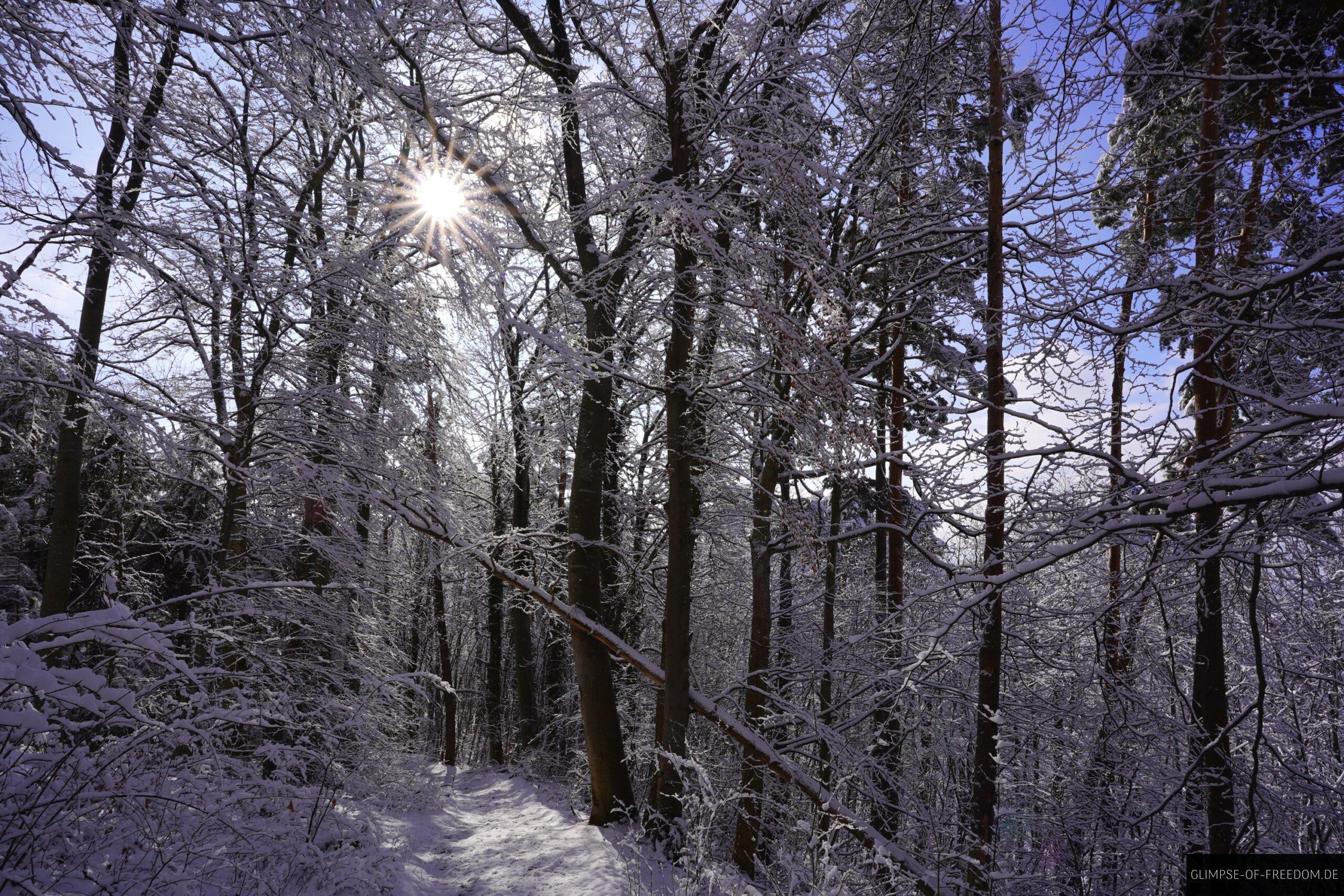Sonniger Wintertag am Zeller Horn scaled Sonniger Wintertag am Zeller Horn