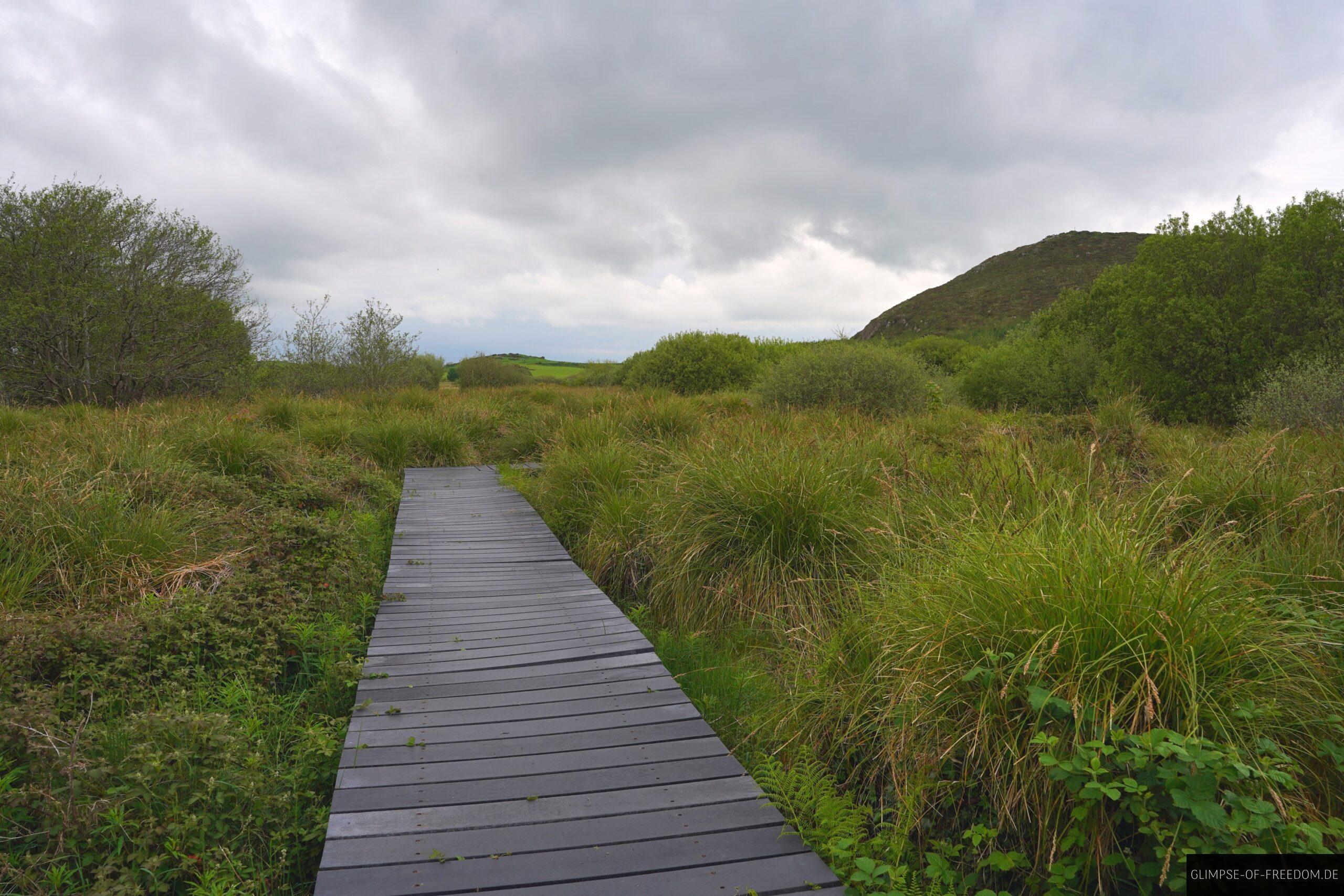 Spaziergang durch das Fenor Moor scaled Spaziergang durch das Fenor Moor