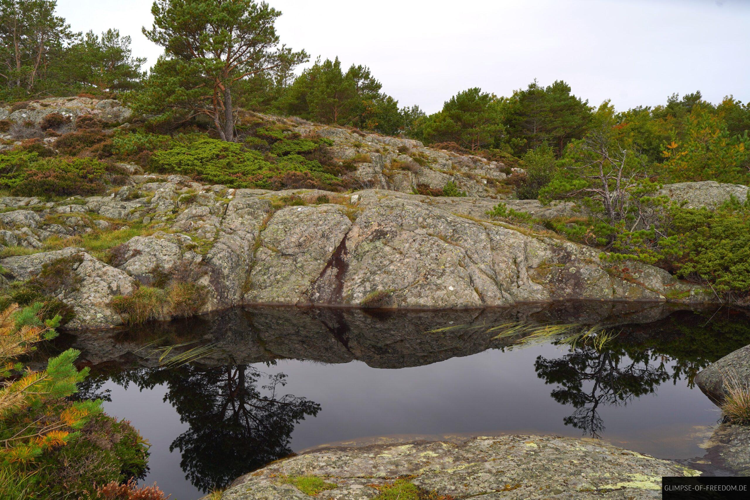 Spiegelnde Seen im Kalvehageneset Naturgebiet scaled Spiegelnde Seen im Kalvehageneset Naturgebiet