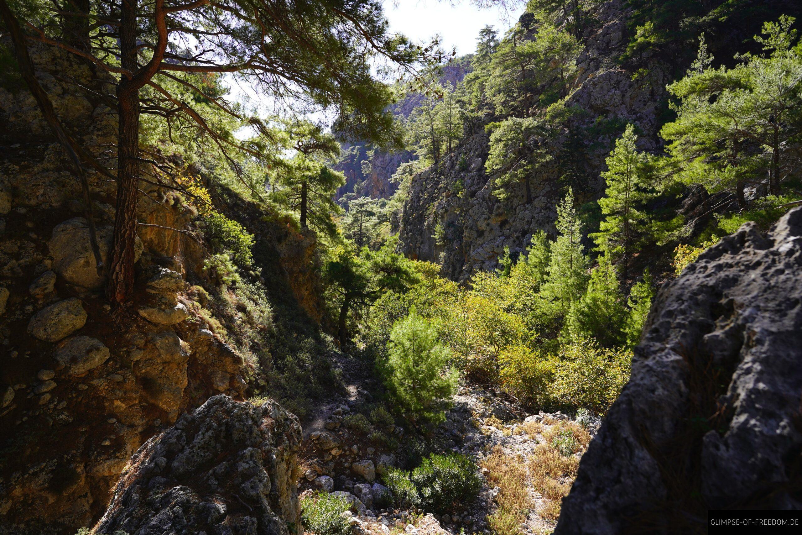 Spiel von Licht und Schatten scaled Spiel von Licht und Schatten