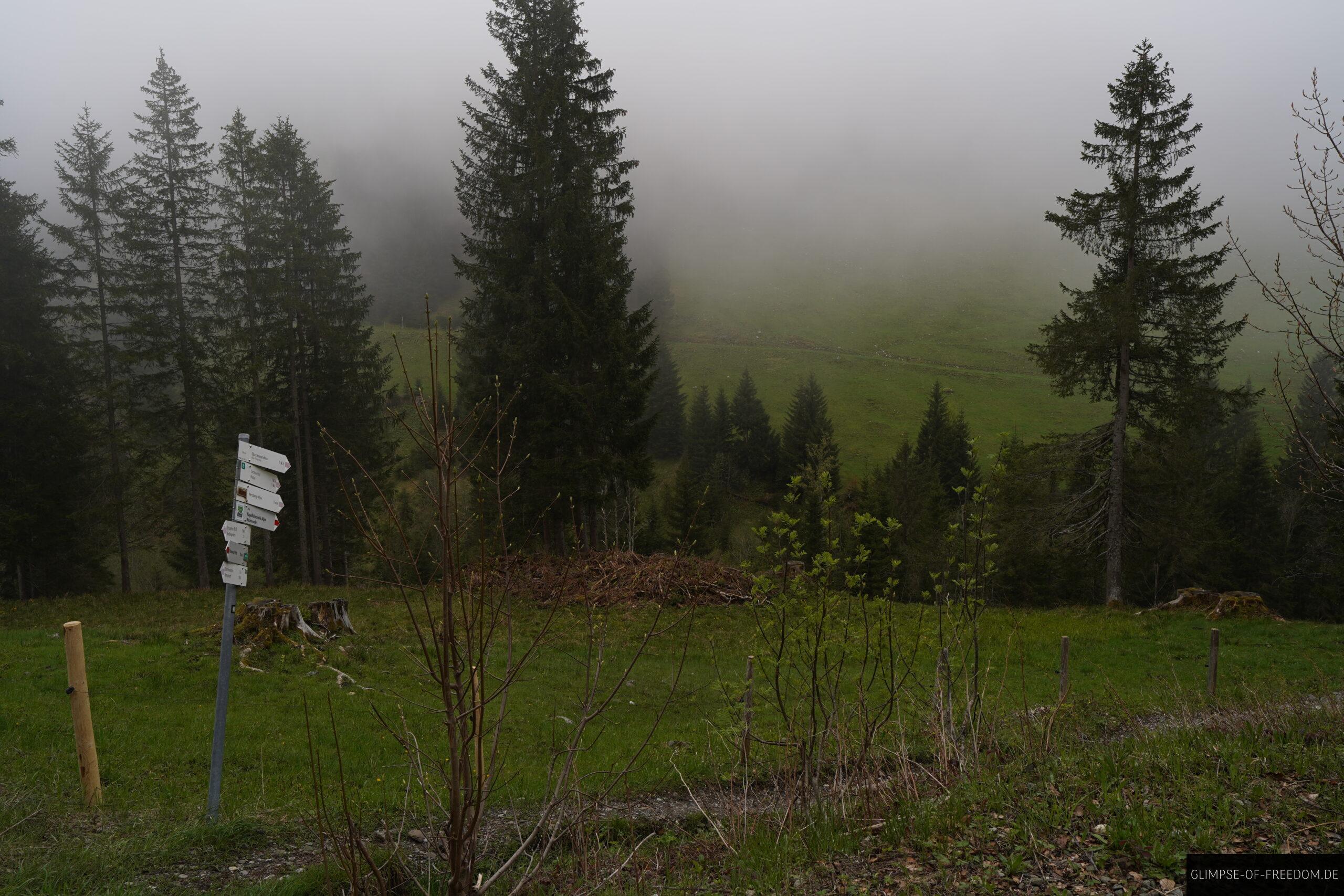 Start der Besler Wanderung scaled Start der Besler Wanderung