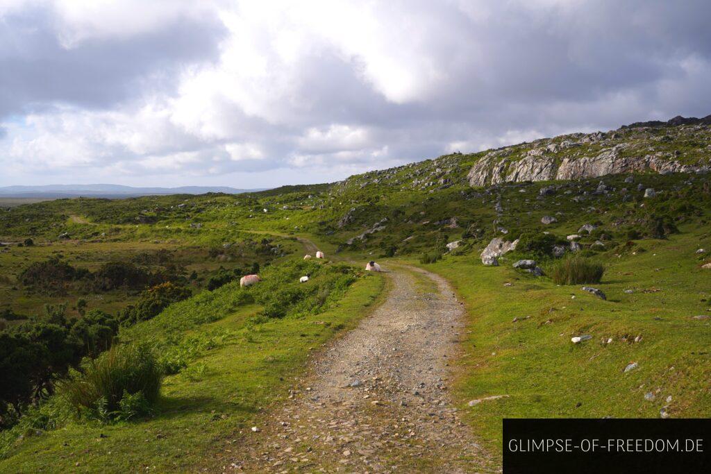 Start der Errisbeg Wanderung