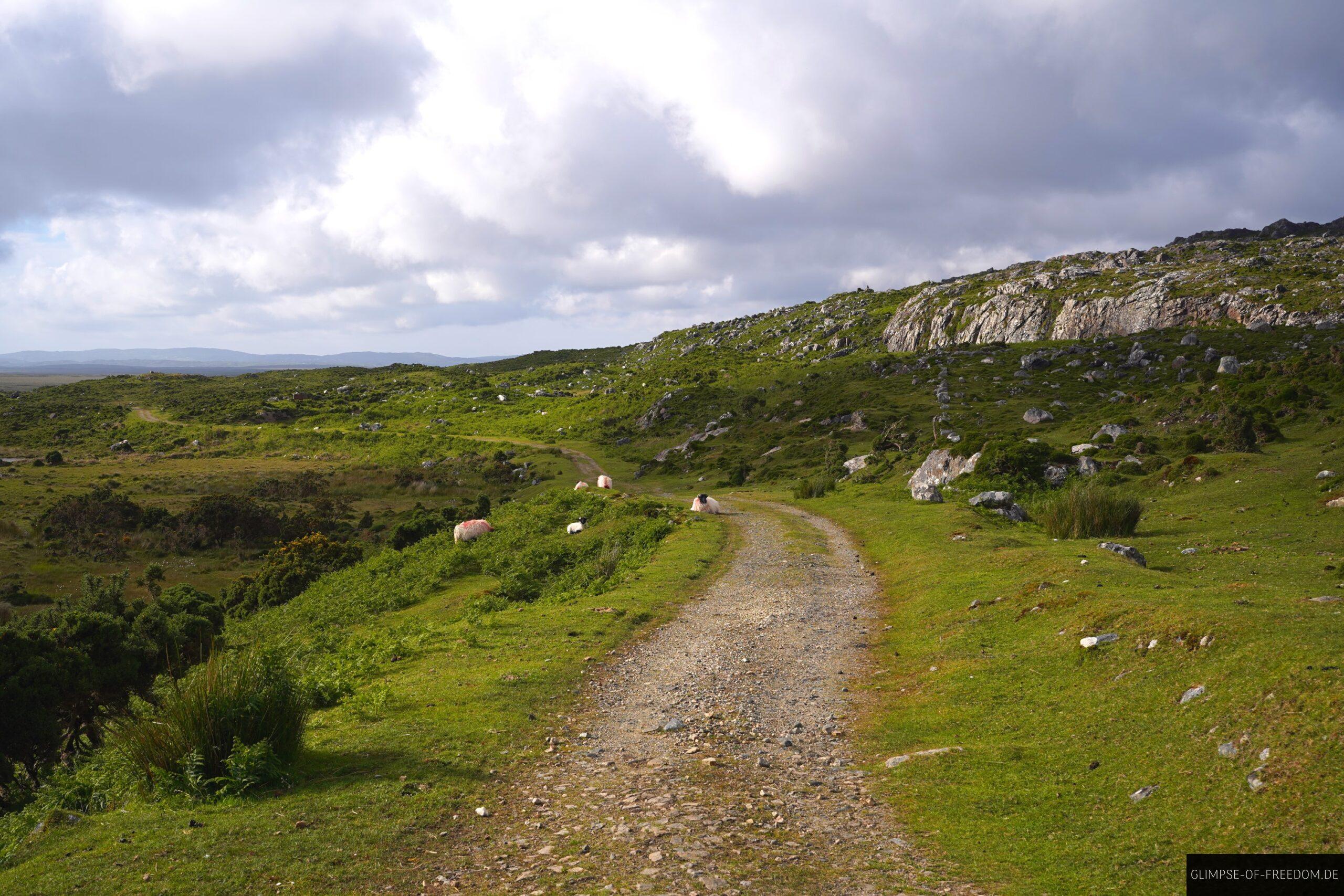 Start der Errisbeg Wanderung scaled Start der Errisbeg Wanderung