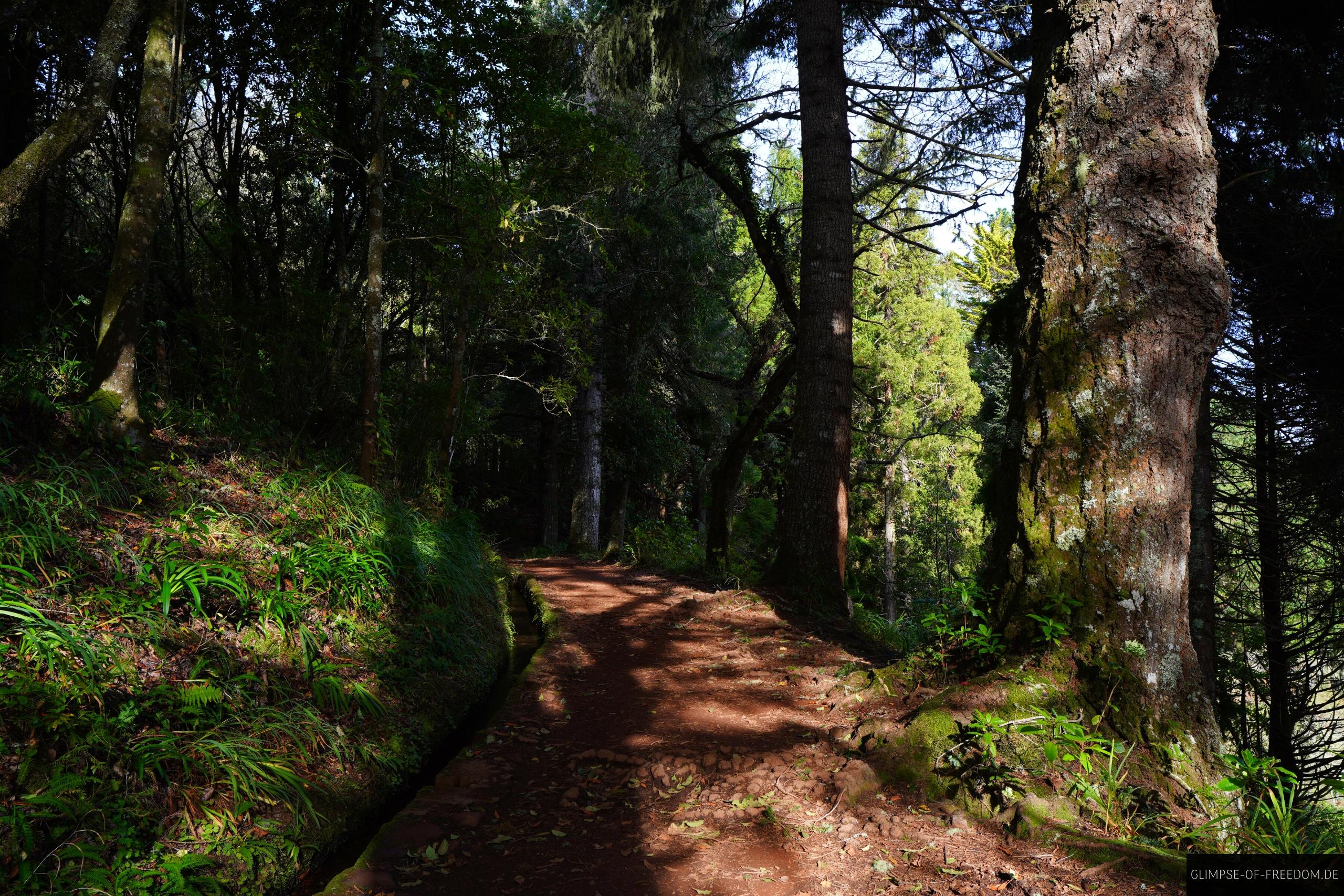 Start der Levada do Caldeirao Verde Wandern Start der Levada do Caldeirao Verde Wandern