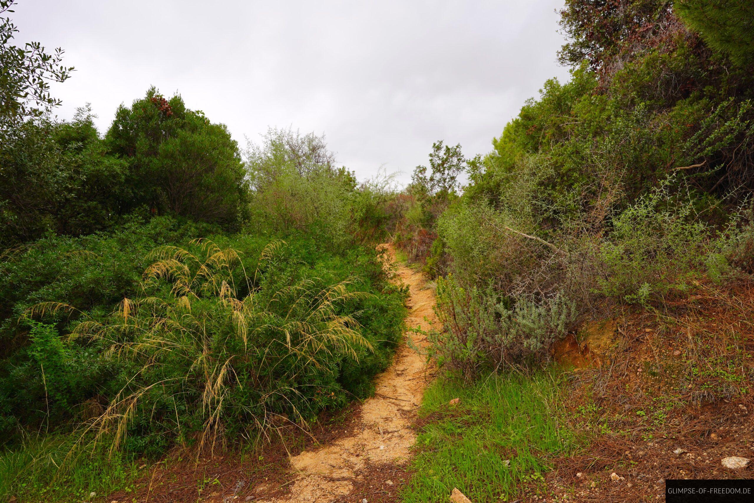 Start der Sentir des Cretes Wanderung scaled Start der Sentir des Cretes Wanderung