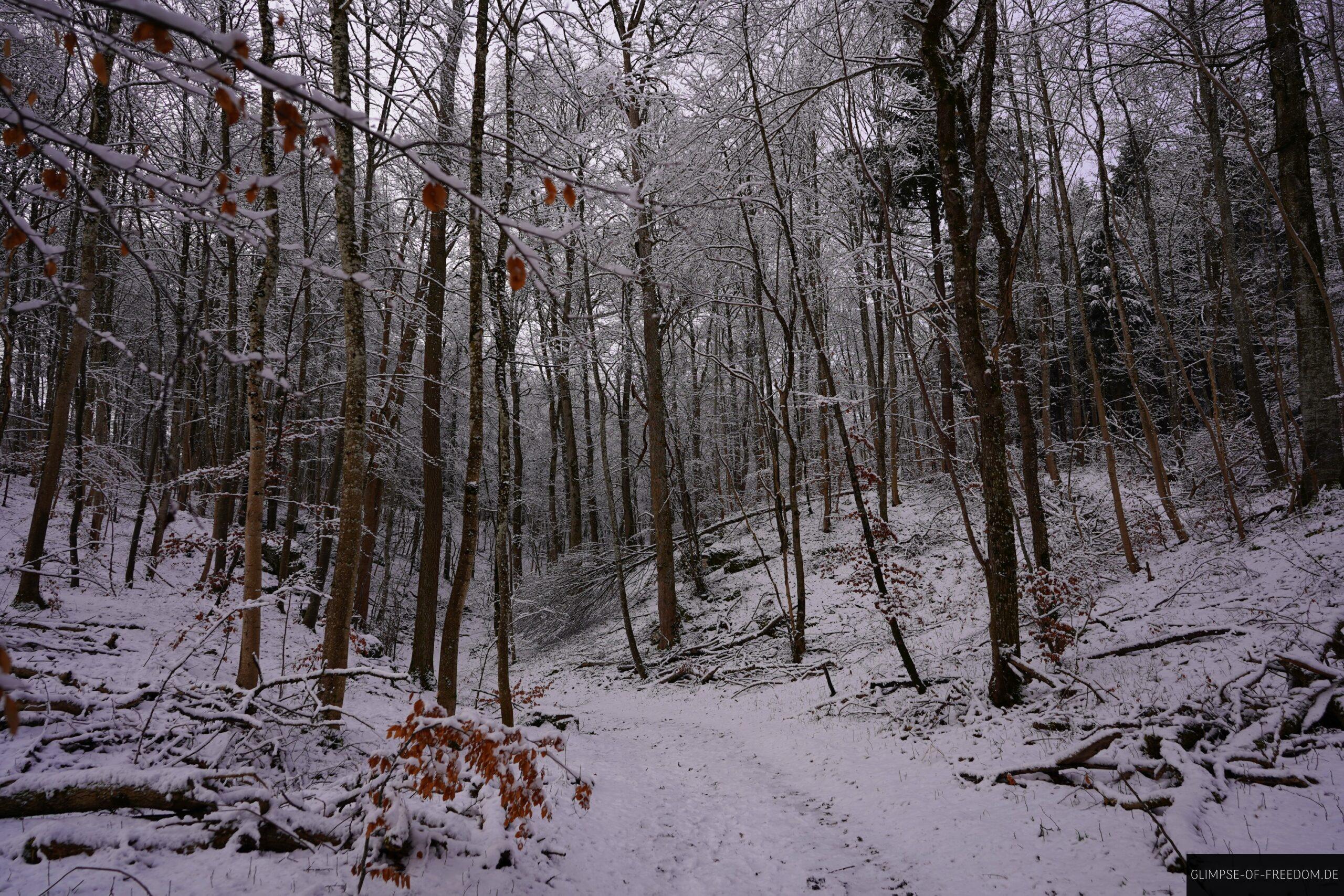Start der Uracher Wasserfall Wanderung vom Parkplatz scaled Start der Uracher Wasserfall Wanderung vom Parkplatz