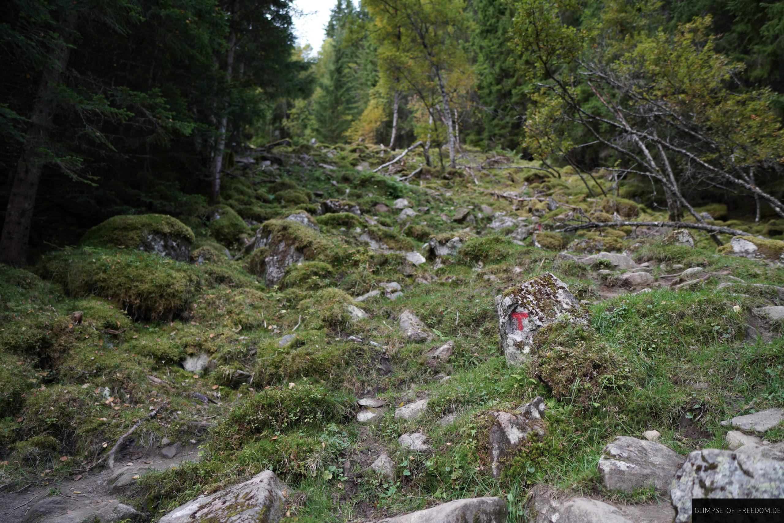 Steiler Wegabschnitt markeirt mit rotem T scaled Steiler Wegabschnitt markeirt mit rotem T