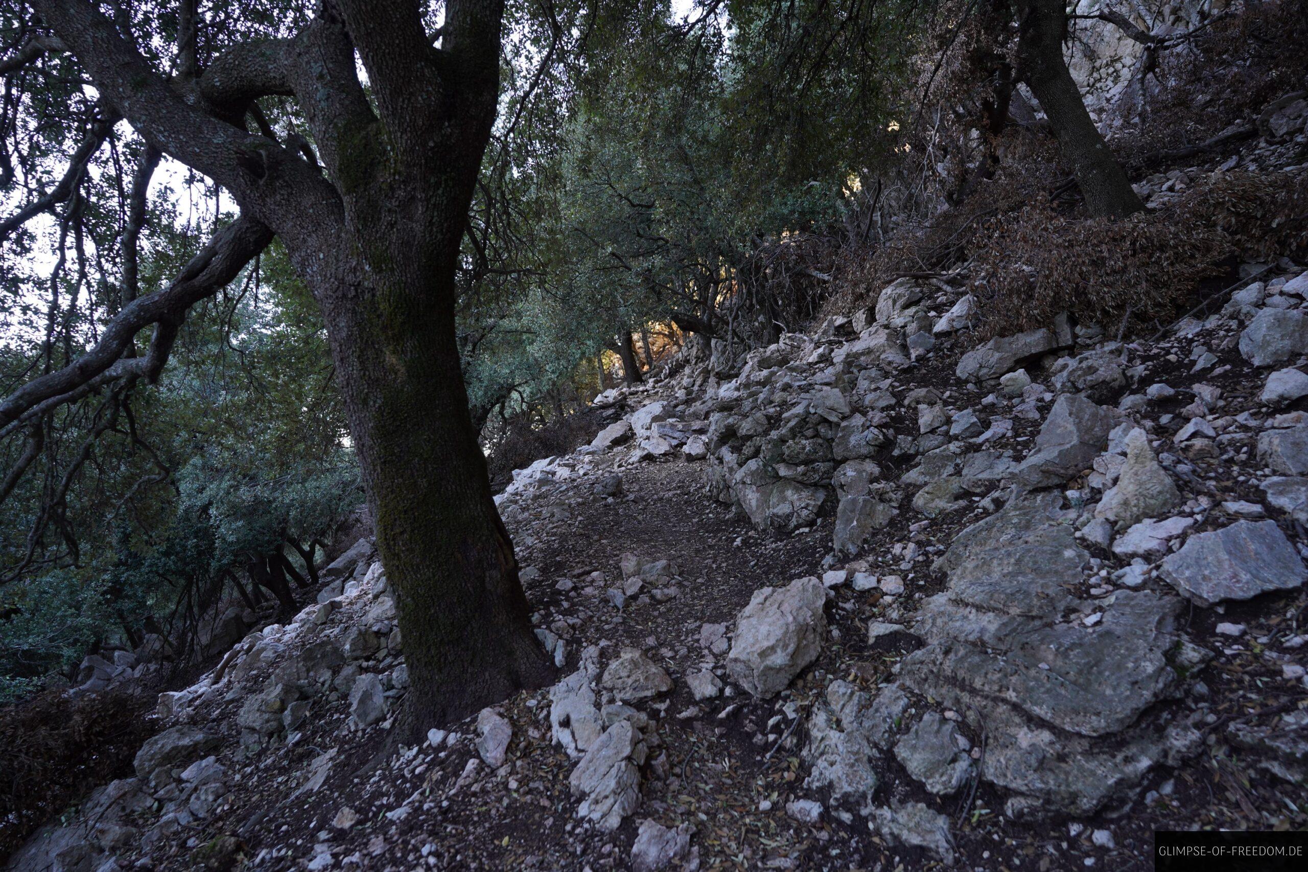 Steiner Weg am Hang scaled Steiner Weg am Hang