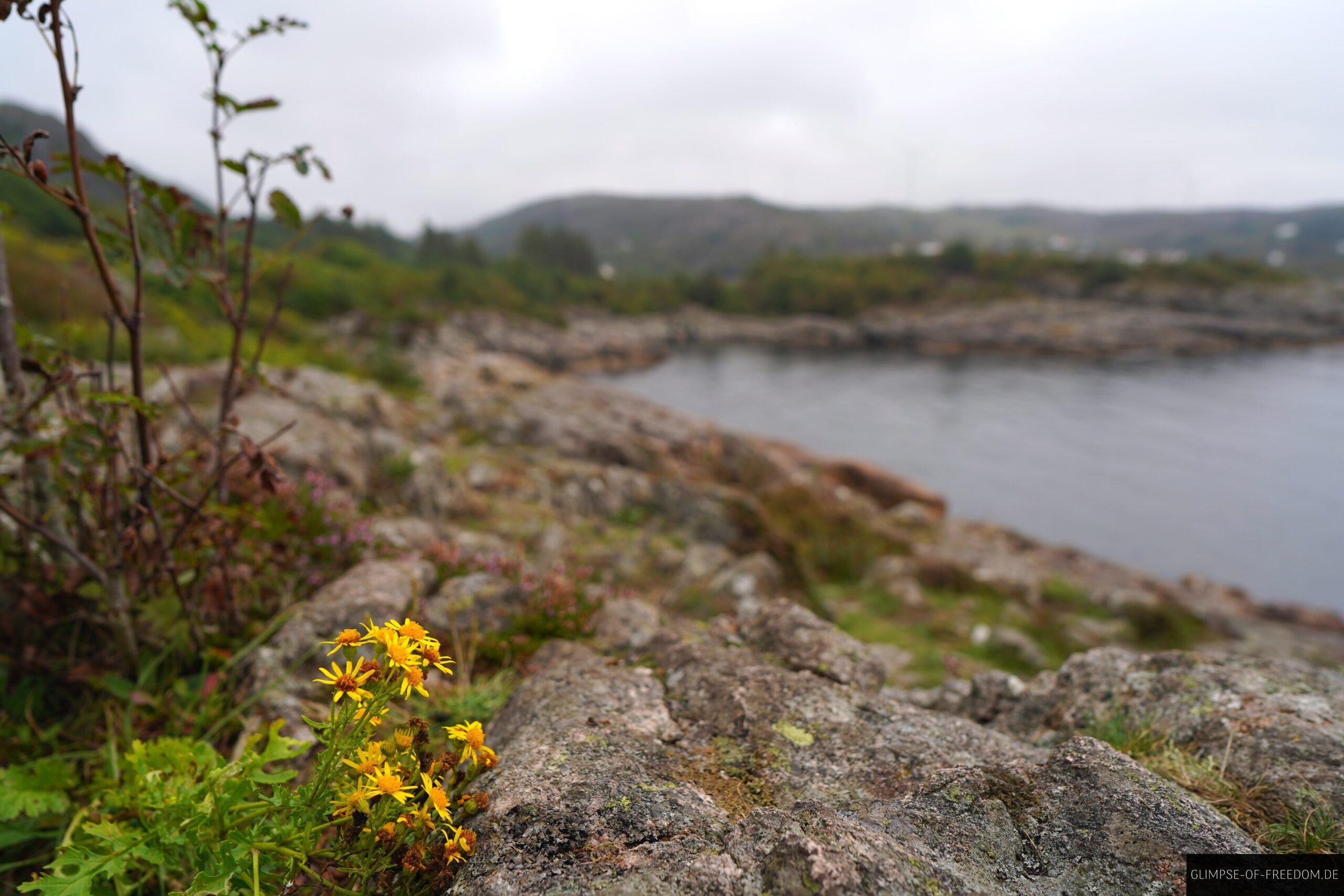Steinige Kueste am Andridomispoint scaled Steinige Küste am Andridomispoint