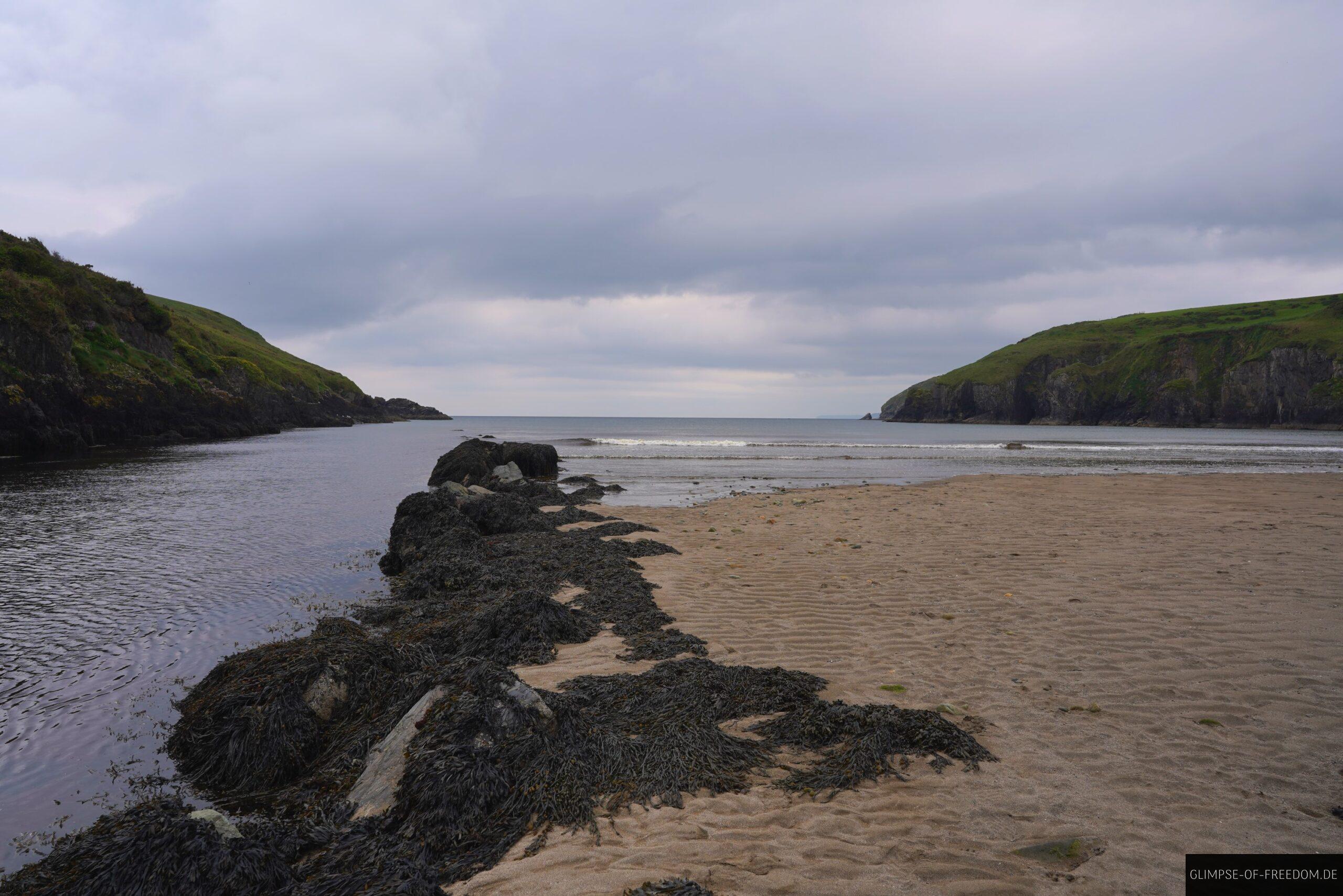 Stradbally Cove fuellt sich scaled Stradbally Cove füllt sich