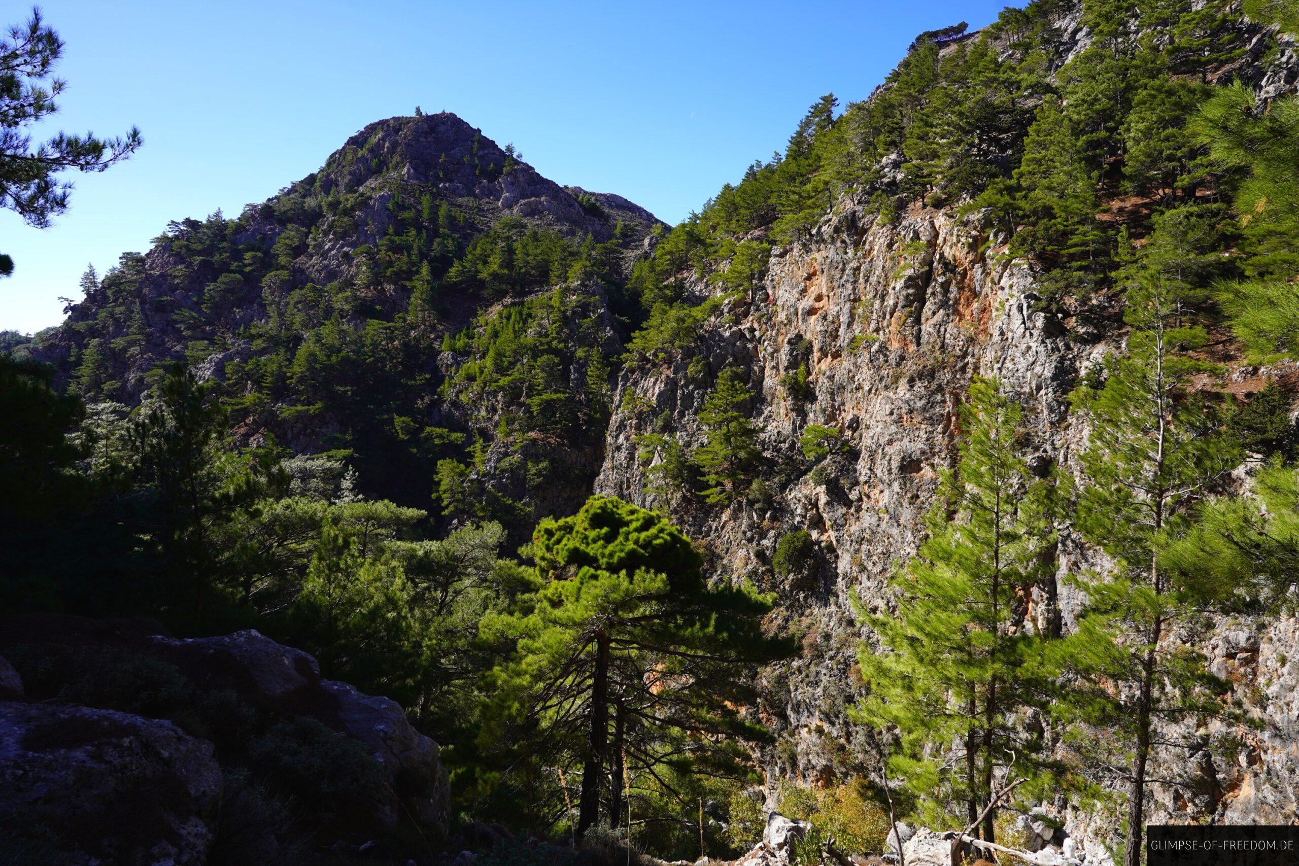 Strahlend gruene Pflanzenwelt an steinernen Waenden scaled Strahlend grüne Pflanzenwelt an steinernen Wänden