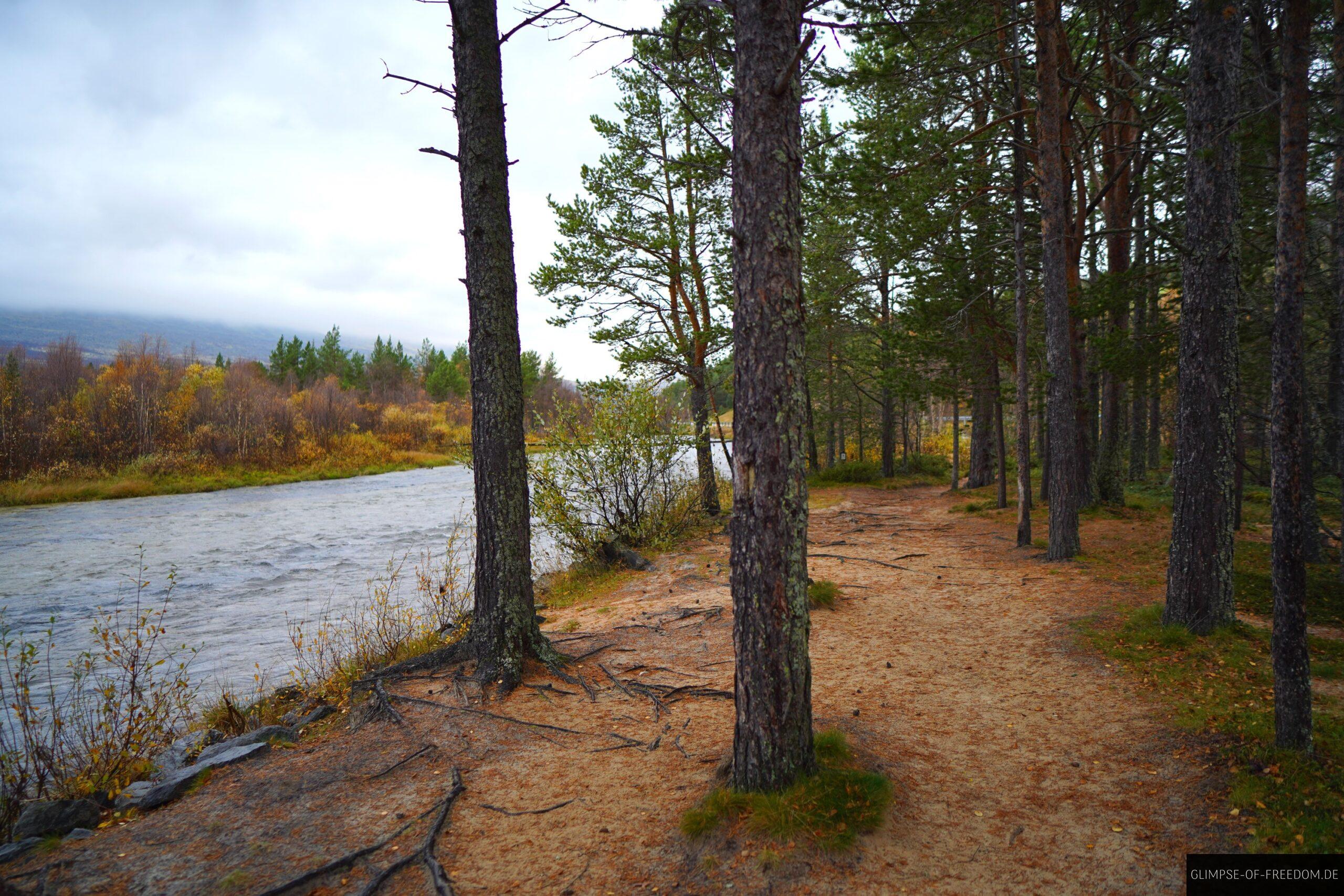 Strombu Flussufer scaled Strømbu Flussufer