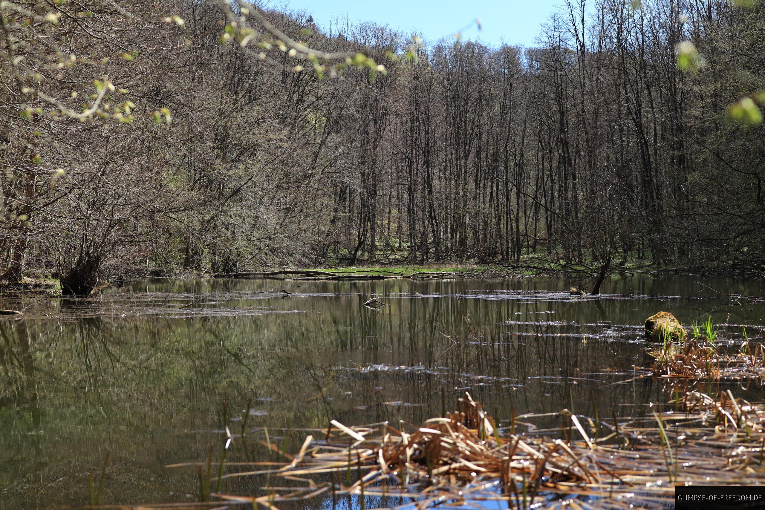 Suentelsee scaled Süntelsee
