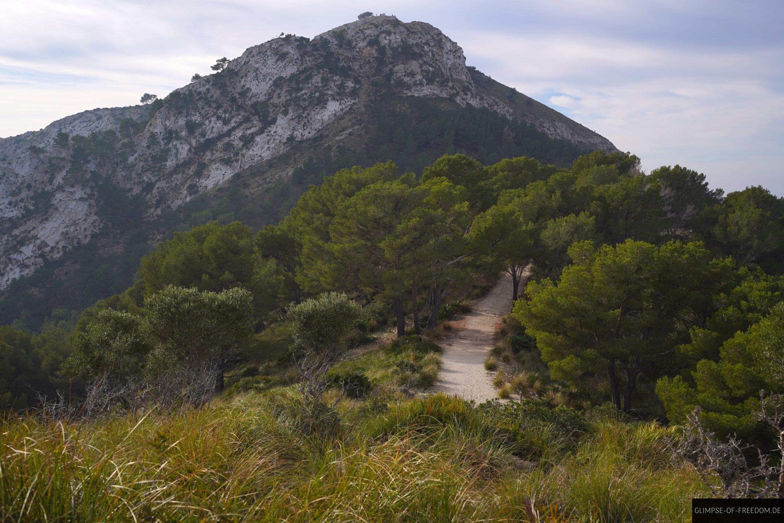 Talaia dAlcudia Wanderung scaled Talaia d’Alcudia Wanderung