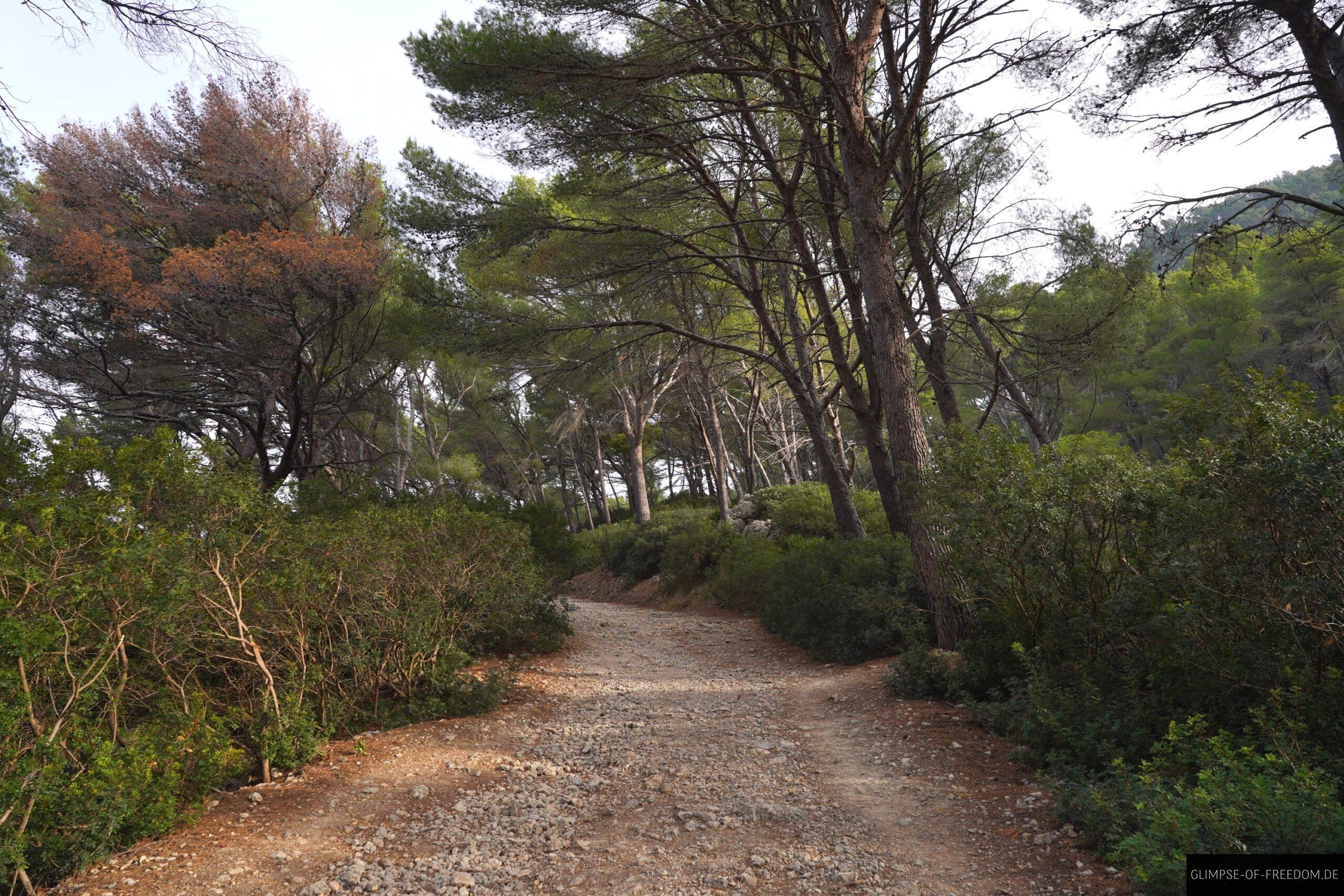 Talaia dAlcudia Wanderweg scaled Talaia d’Alcudia Wanderweg