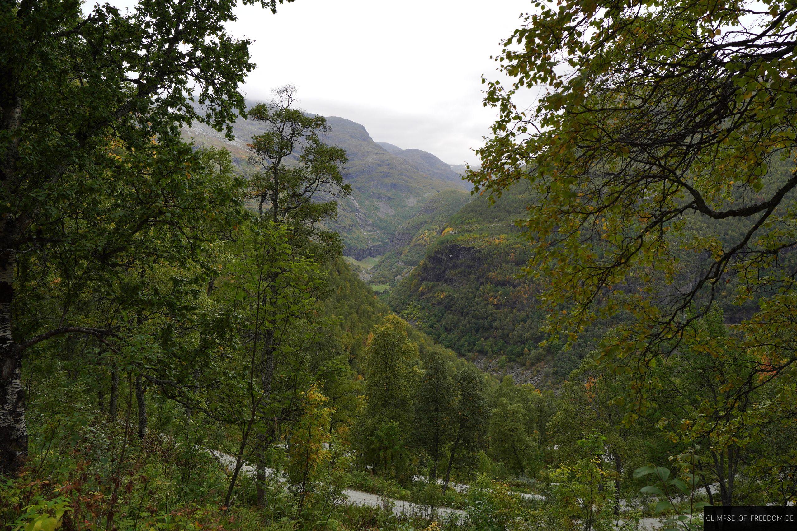Talblick Aussicht Myrdal Talblick Aussicht Myrdal
