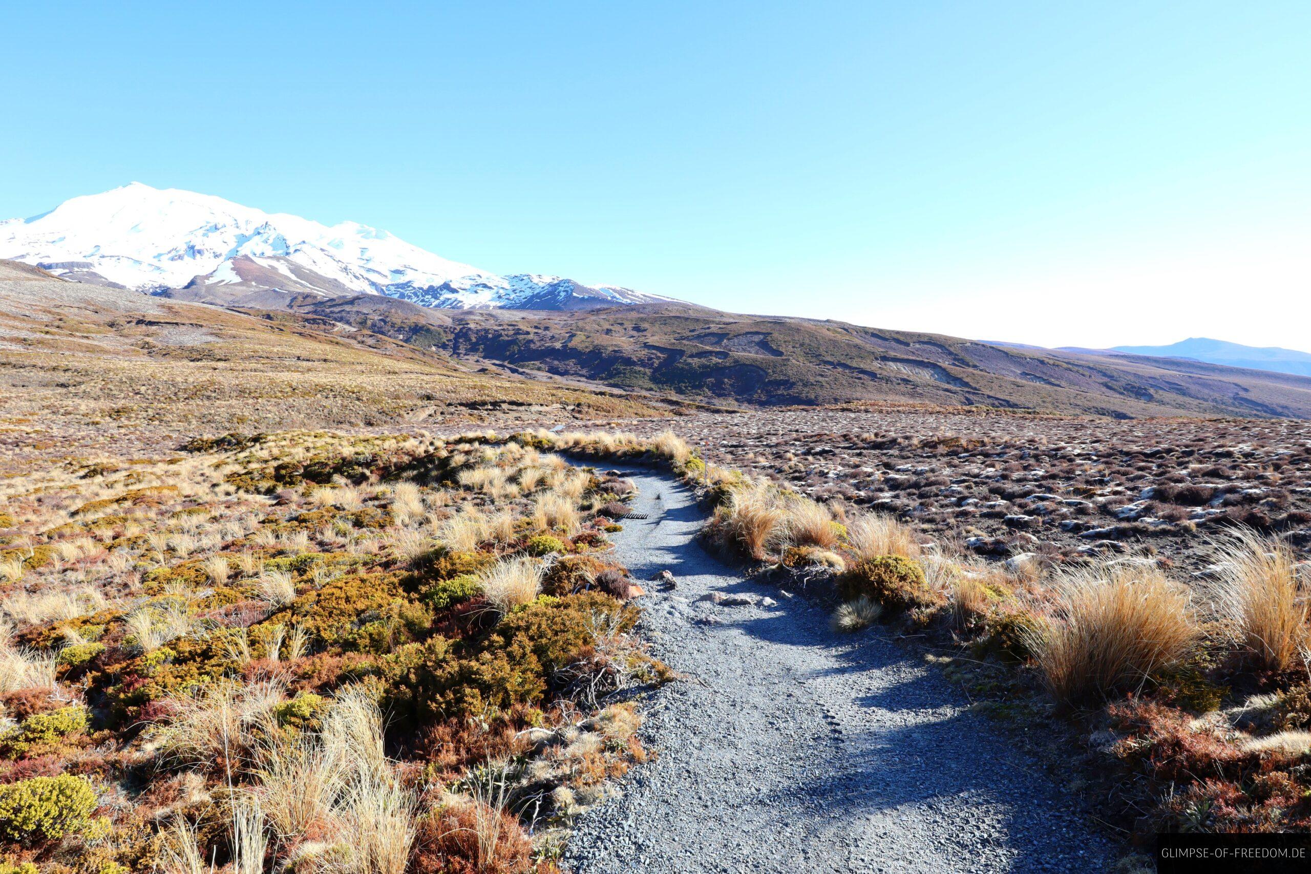 Tama Lakes Wanderung am Mount Ruapehu scaled Tama Lakes Wanderung am Mount Ruapehu