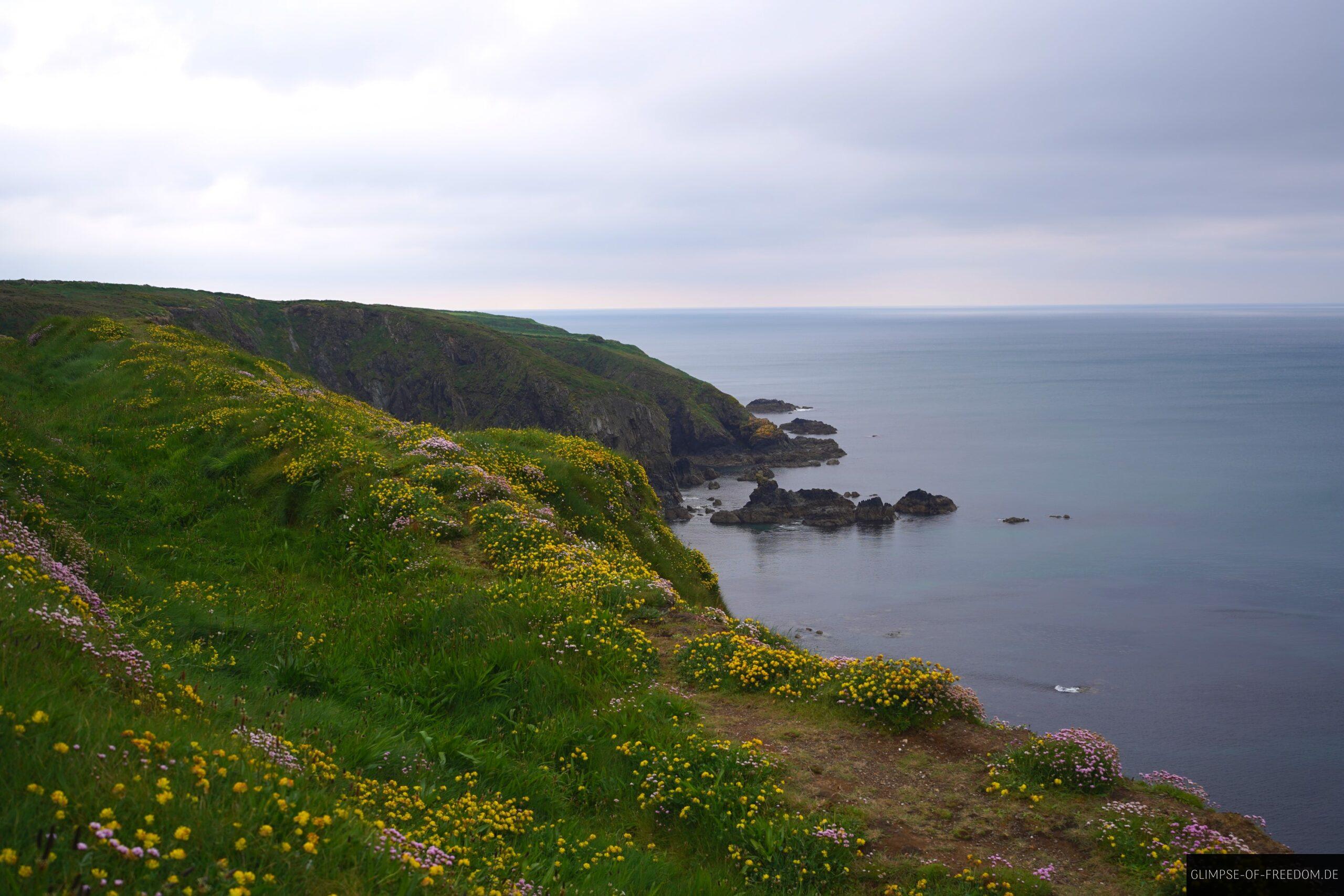 Tankardstown Copper Mine Viewpoint scaled Tankardstown Copper Mine Viewpoint