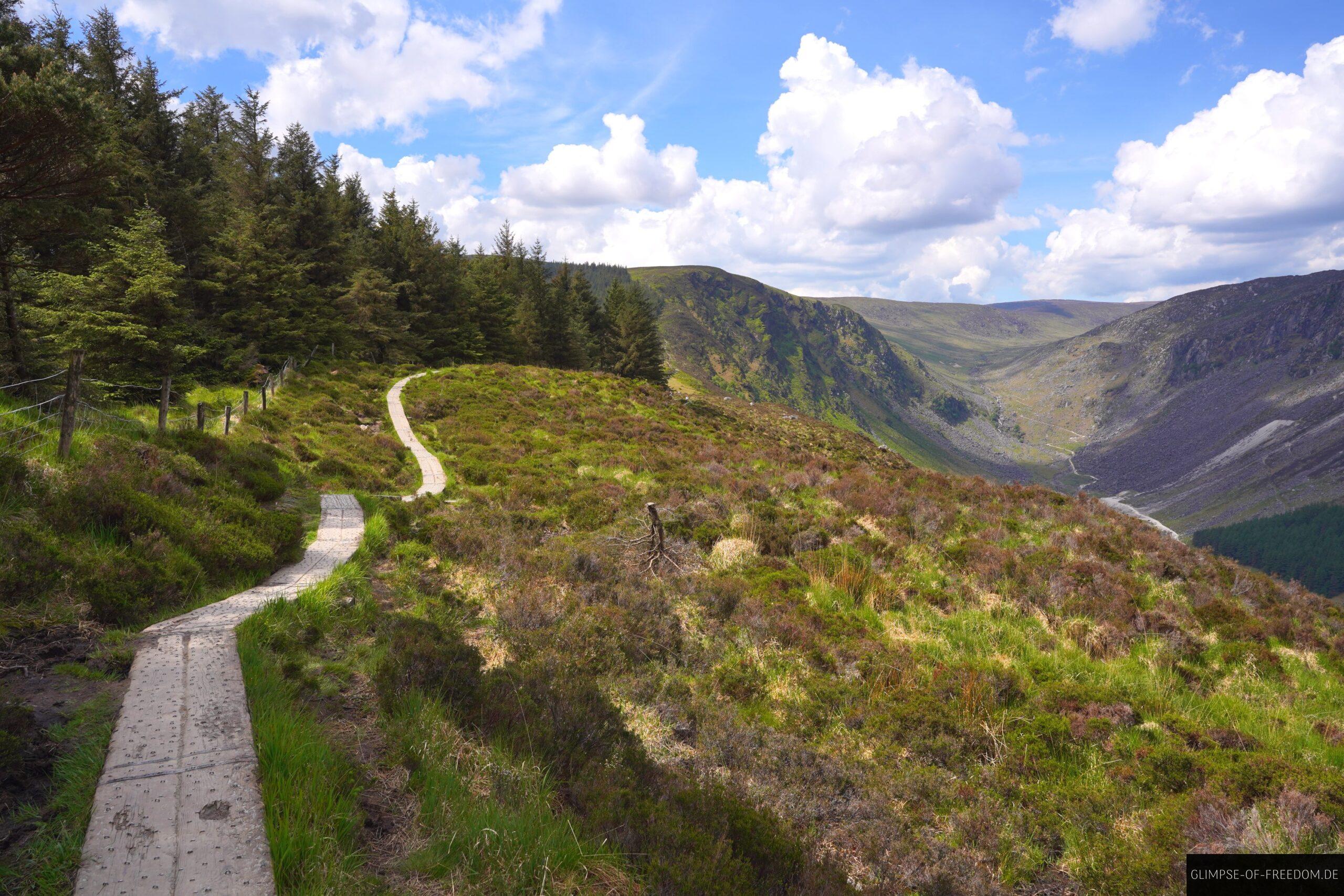 The Spinc Wanderung scaled The Spinc Wanderung