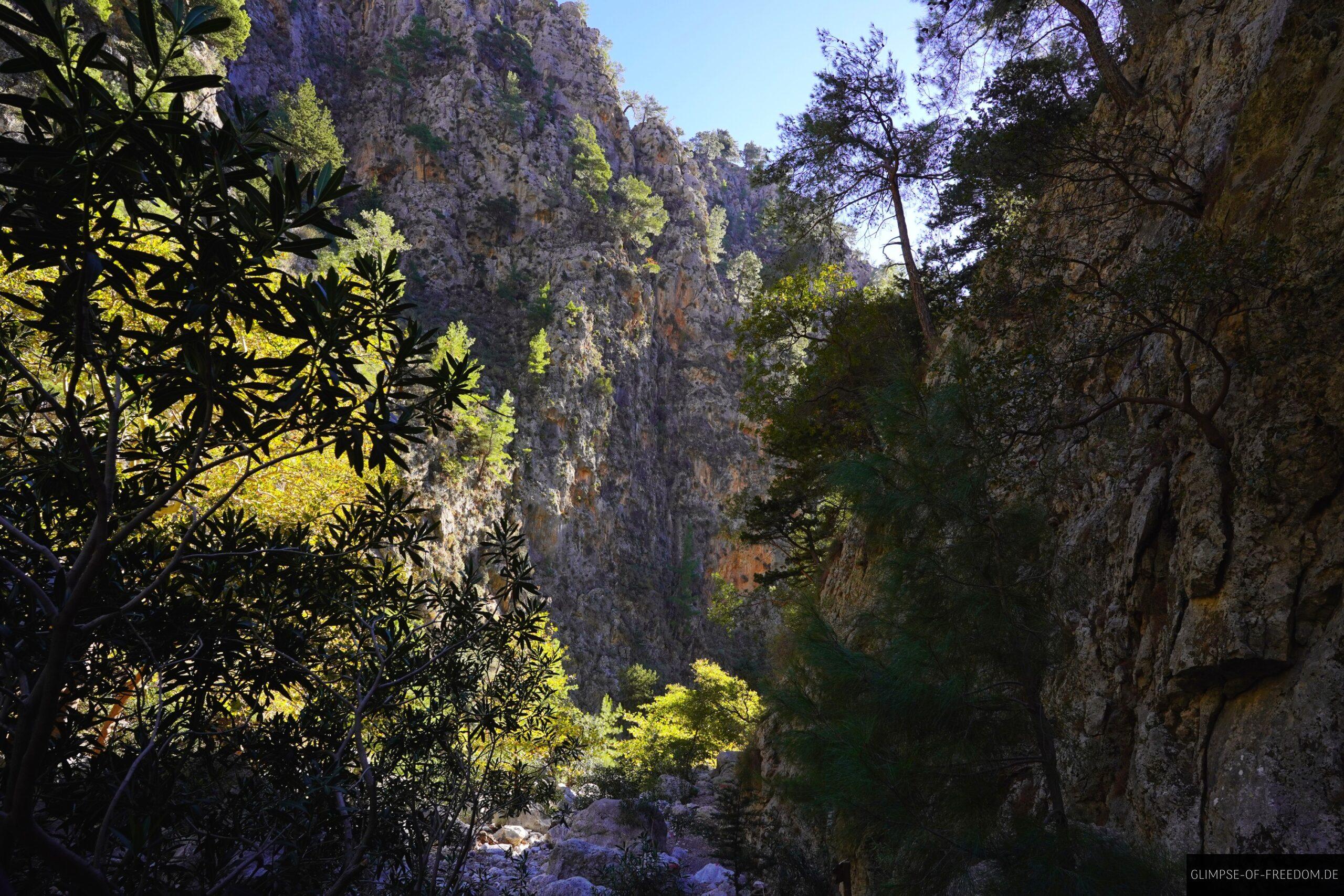 Tolles Wandergefuehl in der kretischen Schlucht scaled Tolles Wandergefühl in der kretischen Schlucht