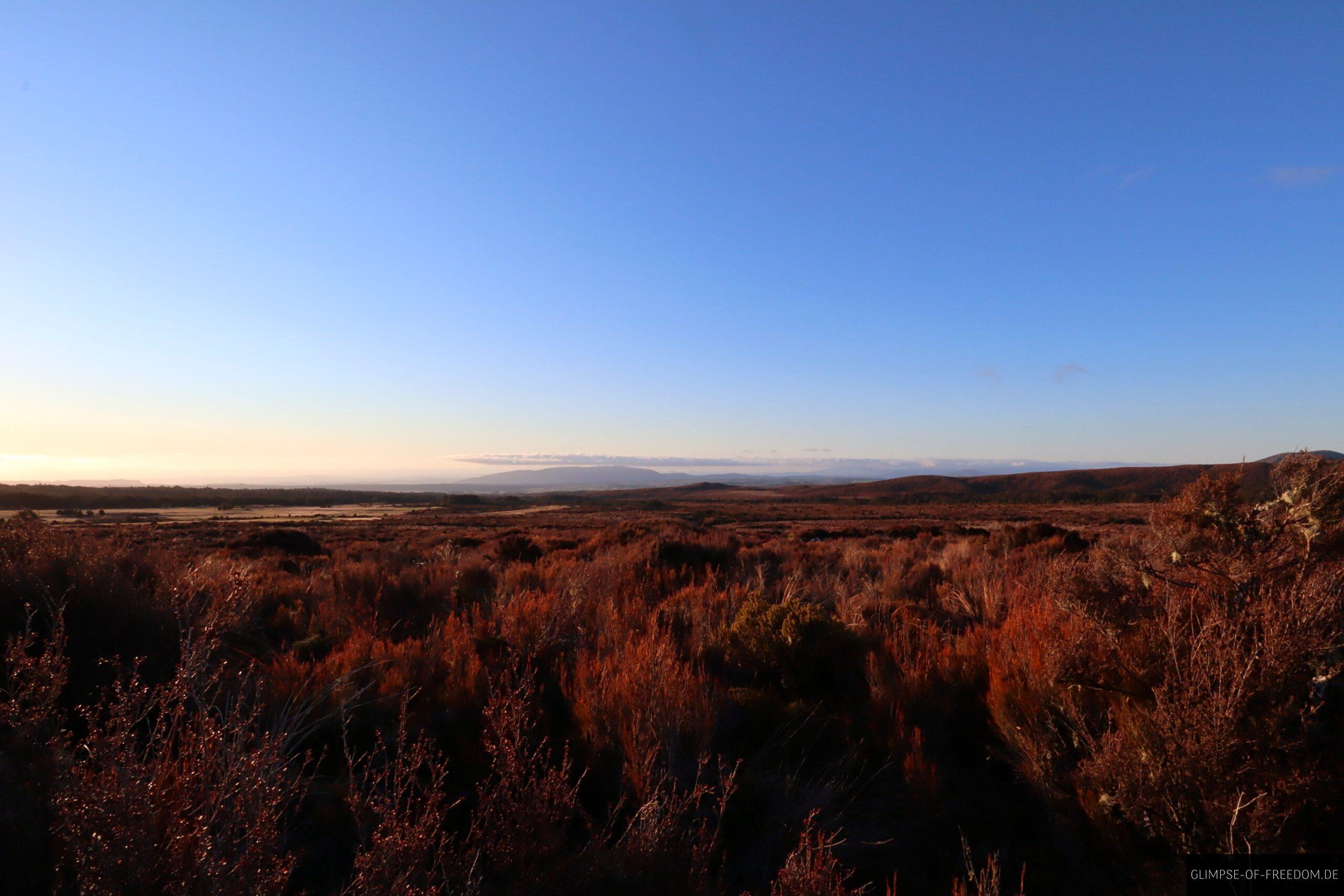 Tongariro Nationalpark in der Abenddaemmerung scaled Tongariro Nationalpark in der Abenddämmerung