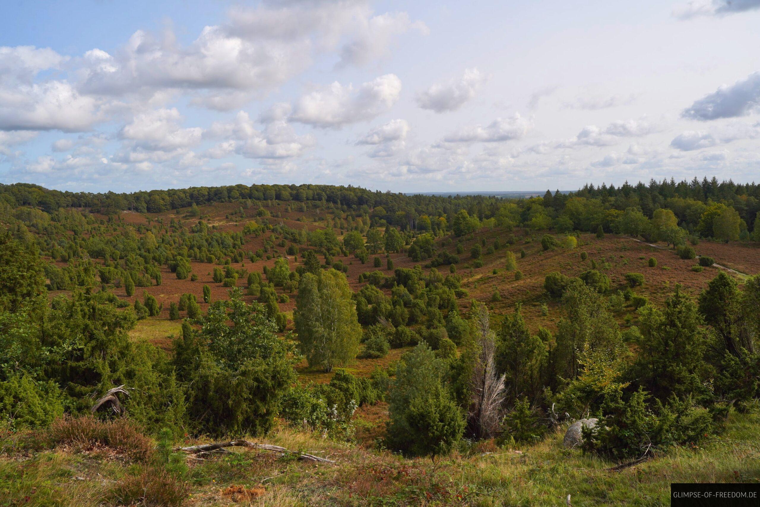 Totengrund scaled Totengrund