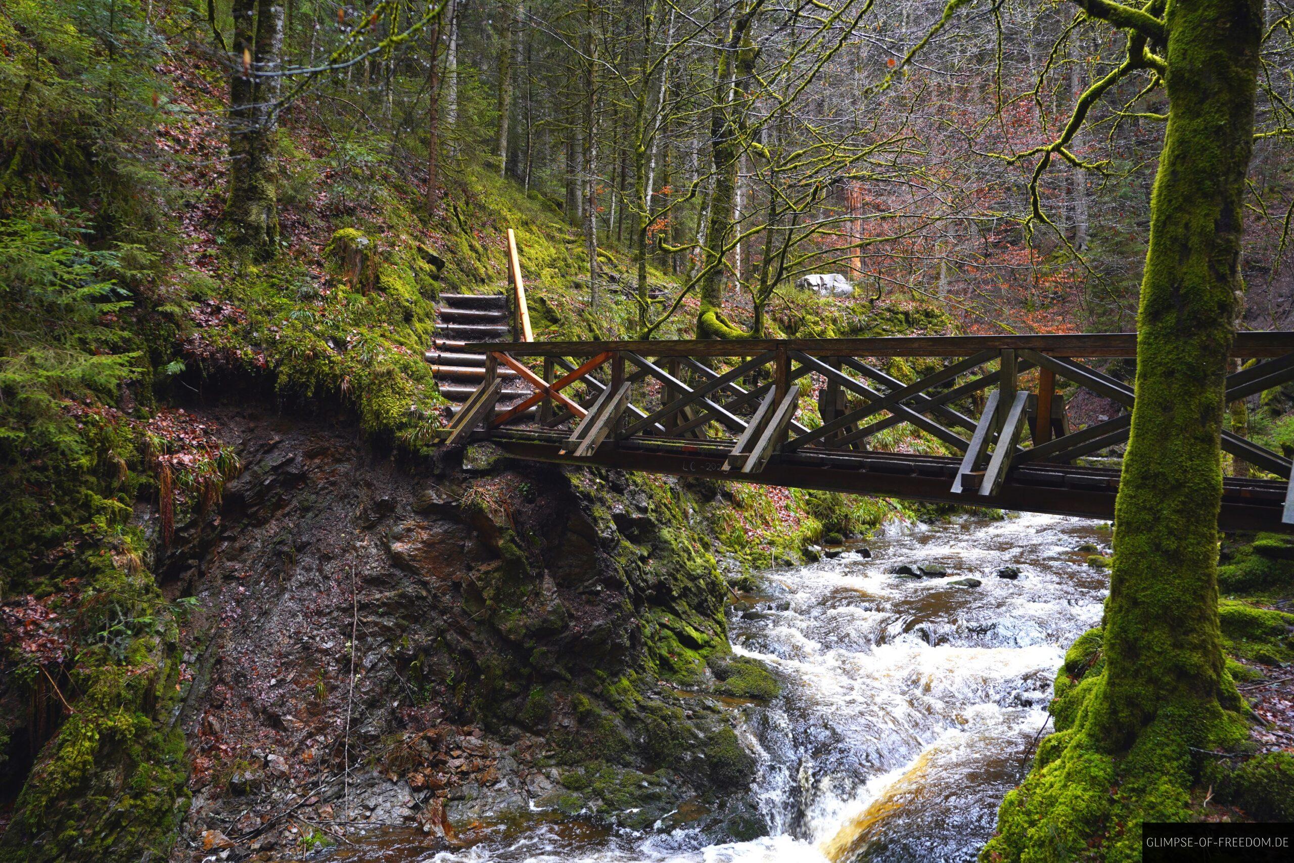 Tour durch die bekannte Schwarzwaldschlucht scaled Tour durch die bekannte Schwarzwaldschlucht