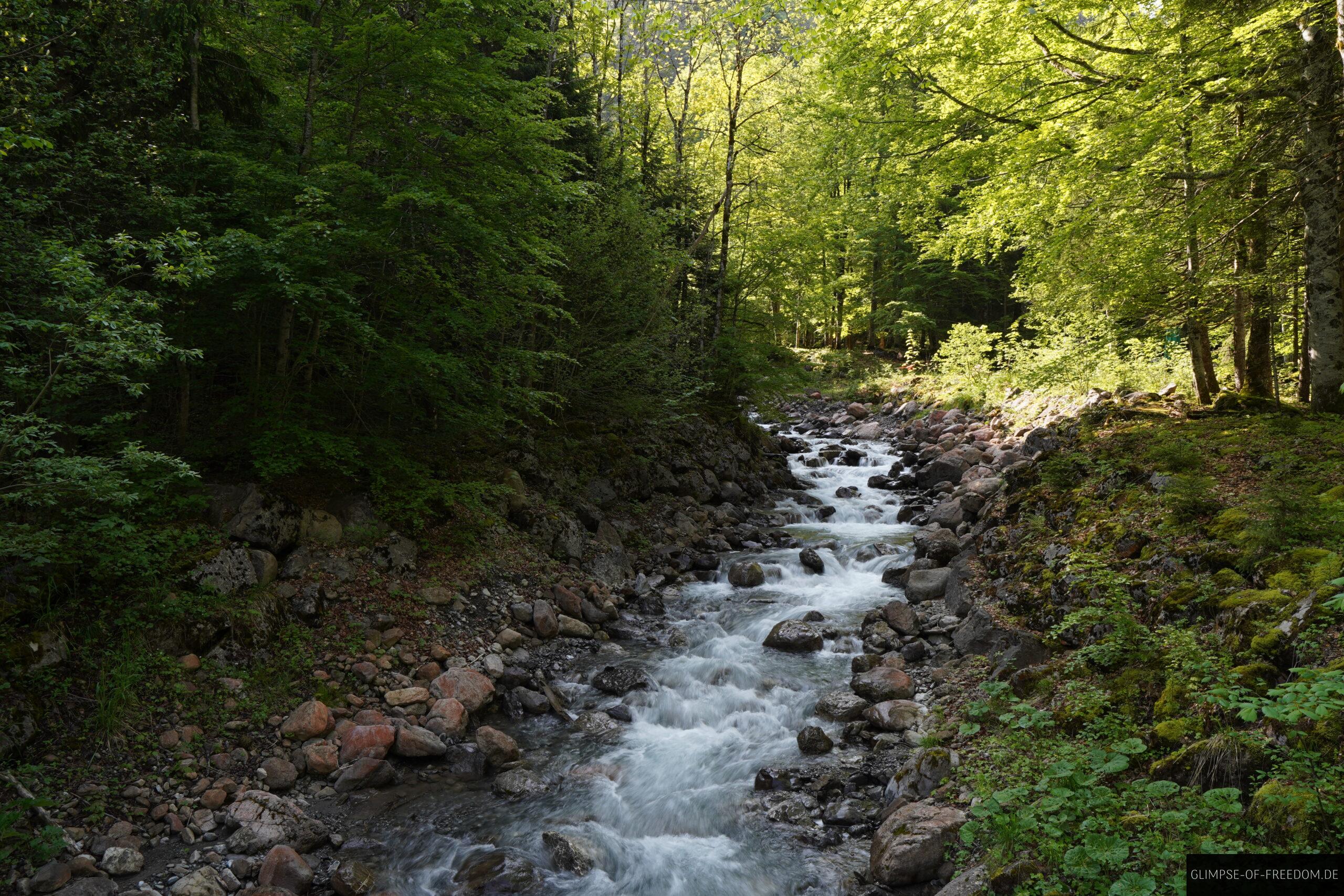 Traufbach scaled Traufbach