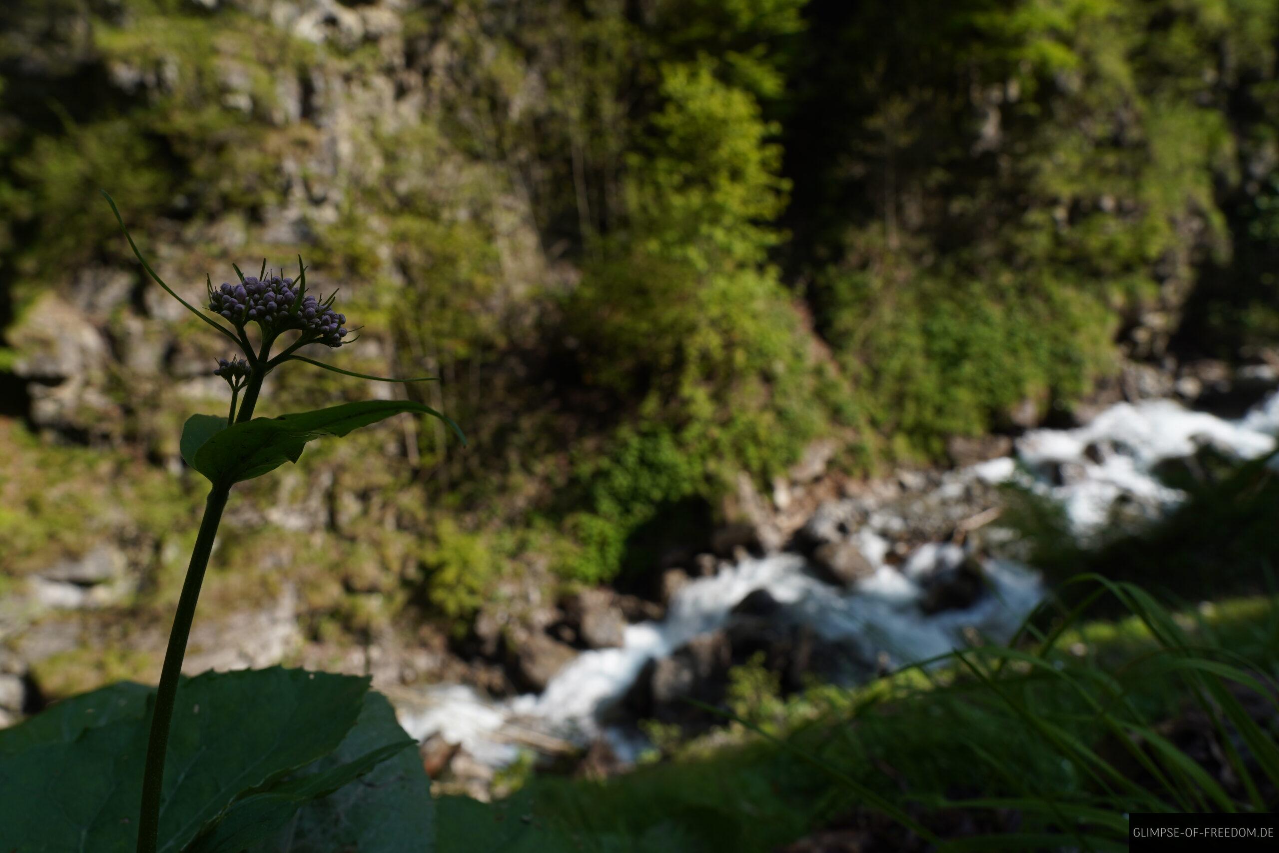 Traufbachtaltobel scaled Traufbachtaltobel
