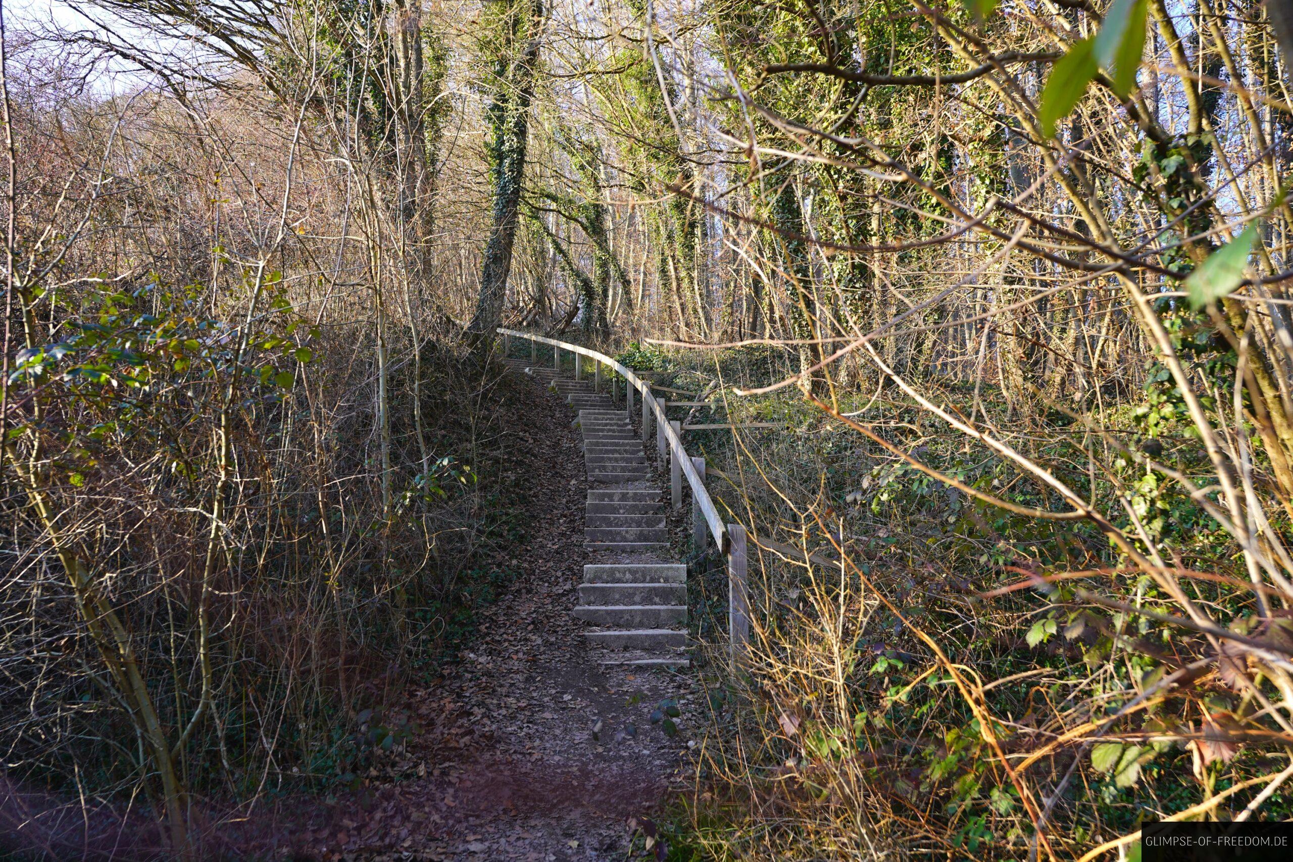 Treppe hinauf zum Panoramaweg scaled Treppe hinauf zum Panoramaweg