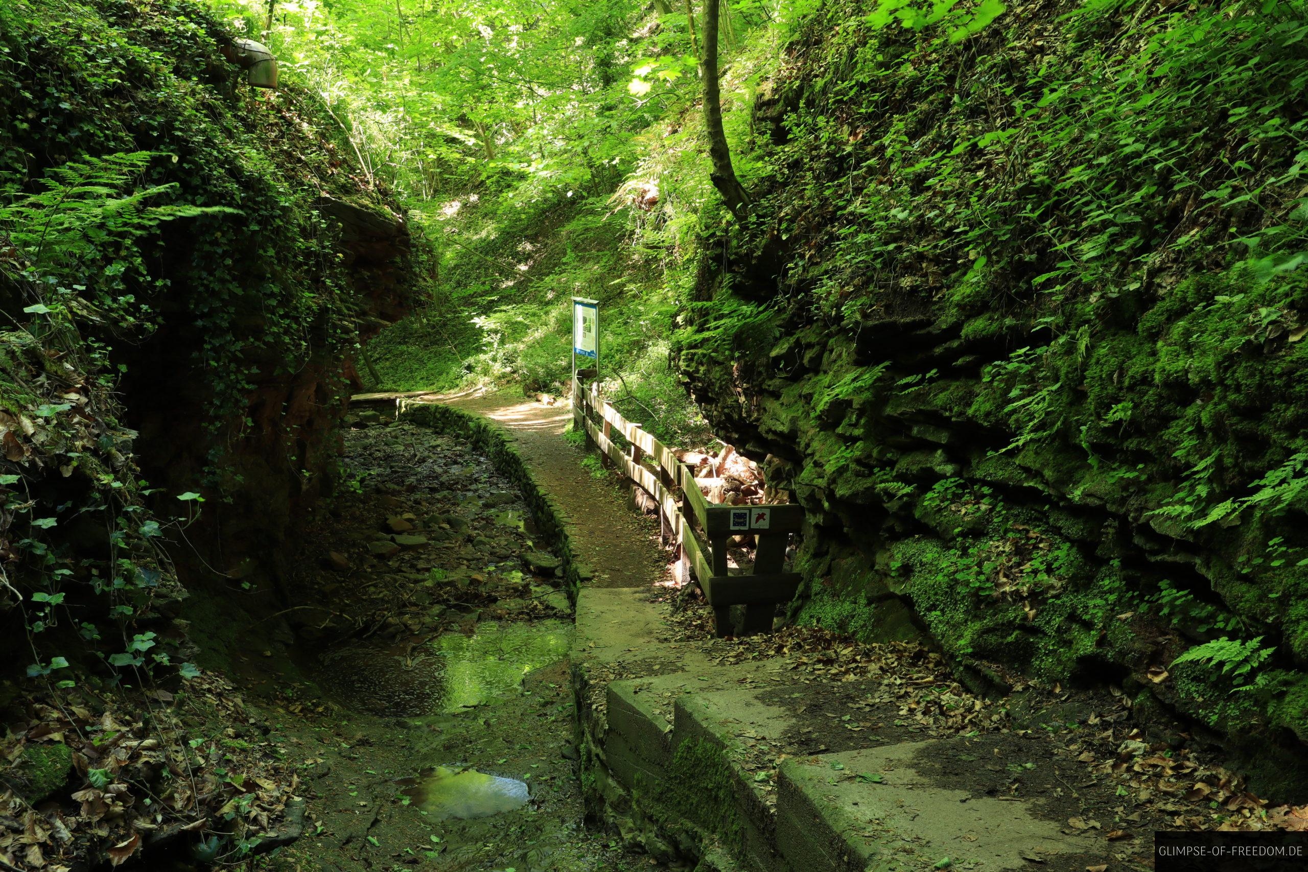 Treppengang durch die Seltenbachschlucht am Main