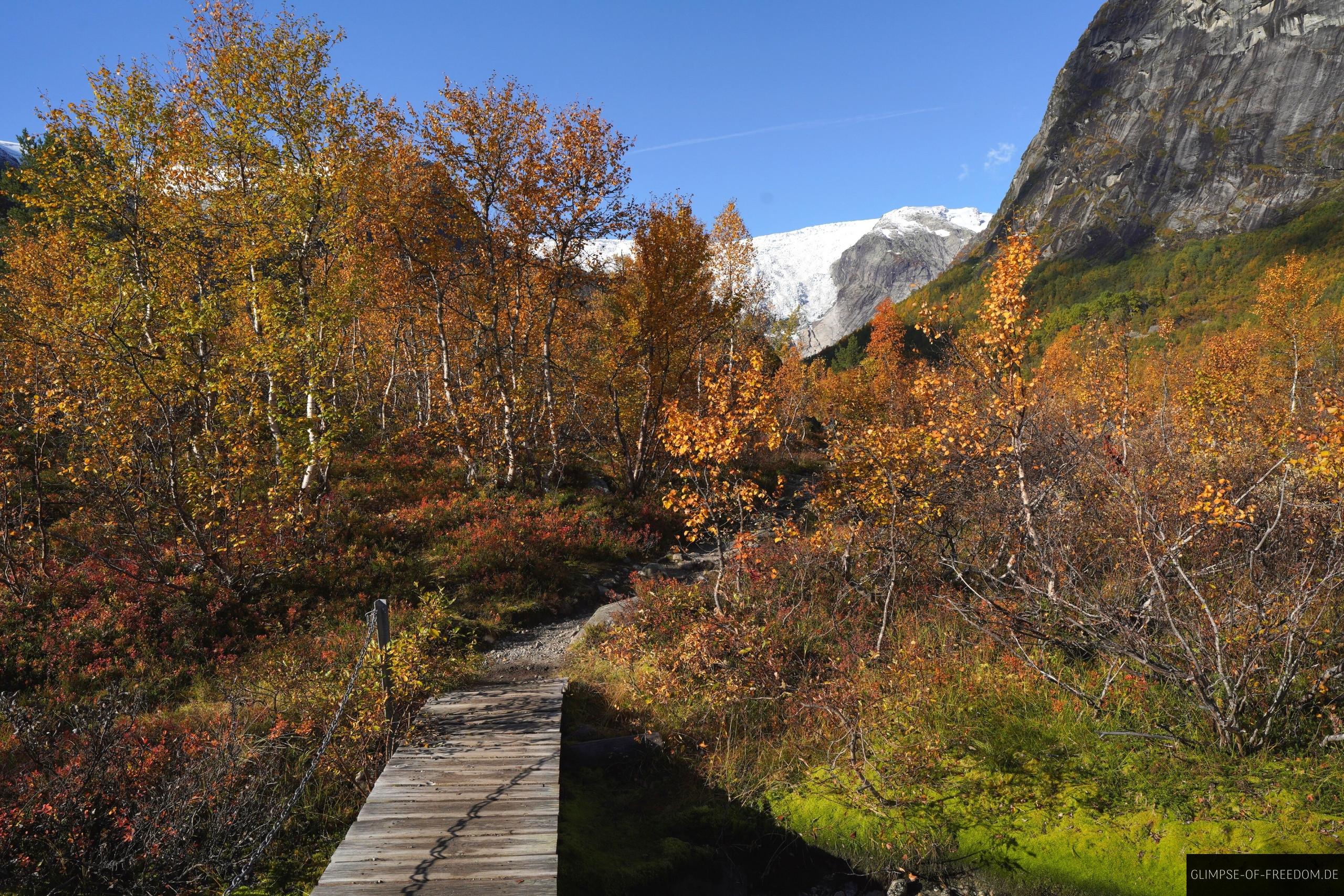 Ueber Holzbruecke in Richtung Bergsetbreen Über Holzbrücke in Richtung Bergsetbreen